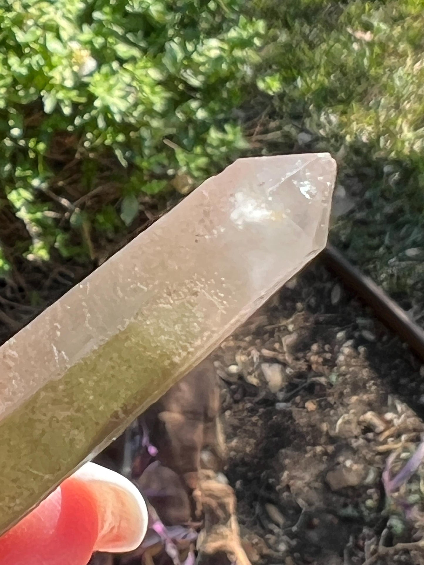 Strawberry Pink Mint Lemurian wand, new, high quality, striations, crystal healing, 2.26”, premium