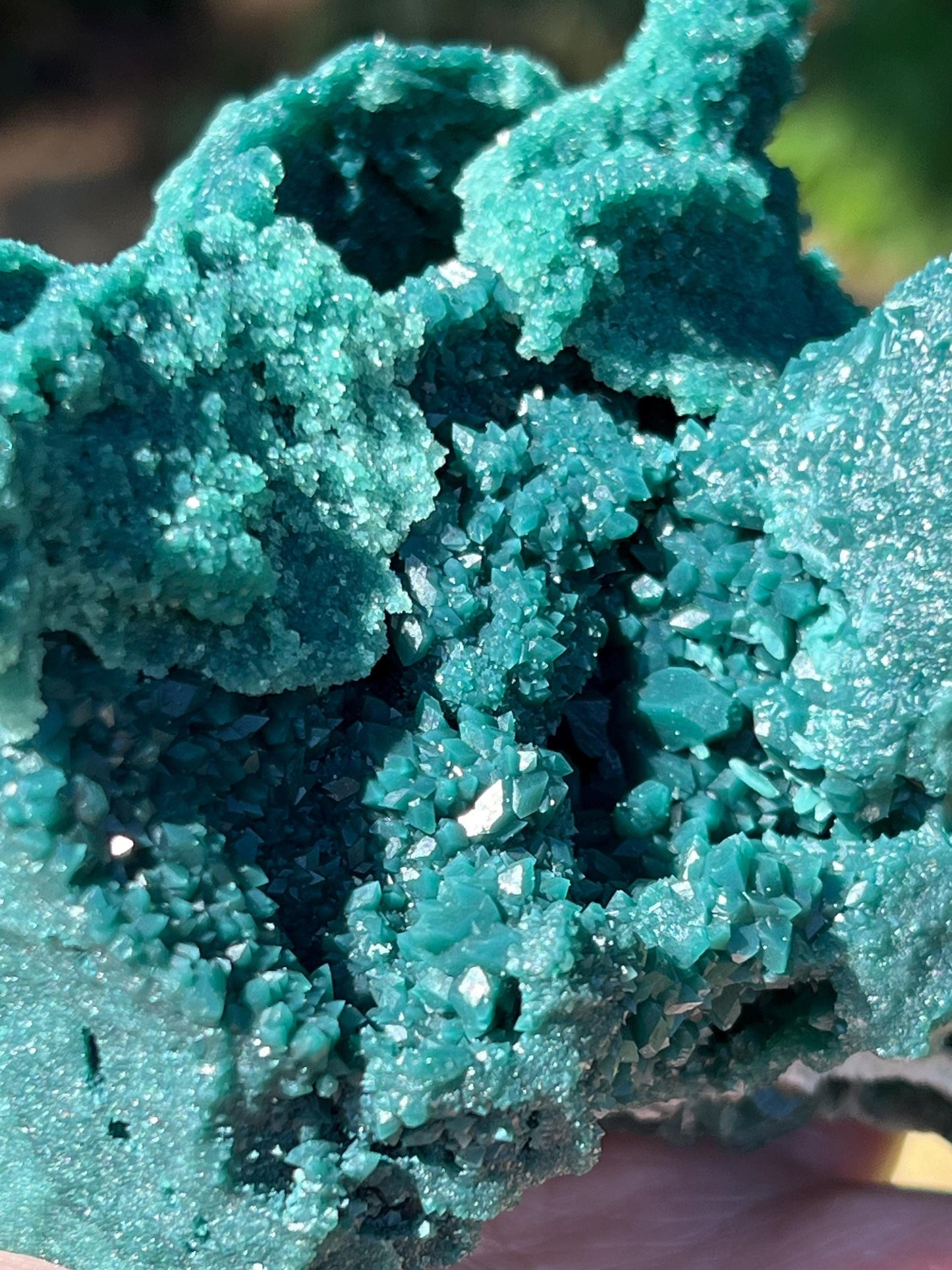 Ex-large Marshy Apophyllite Fairy Bed with sparkle, celadonite, new, 5.5”, high vibration crystals, gifts, altar