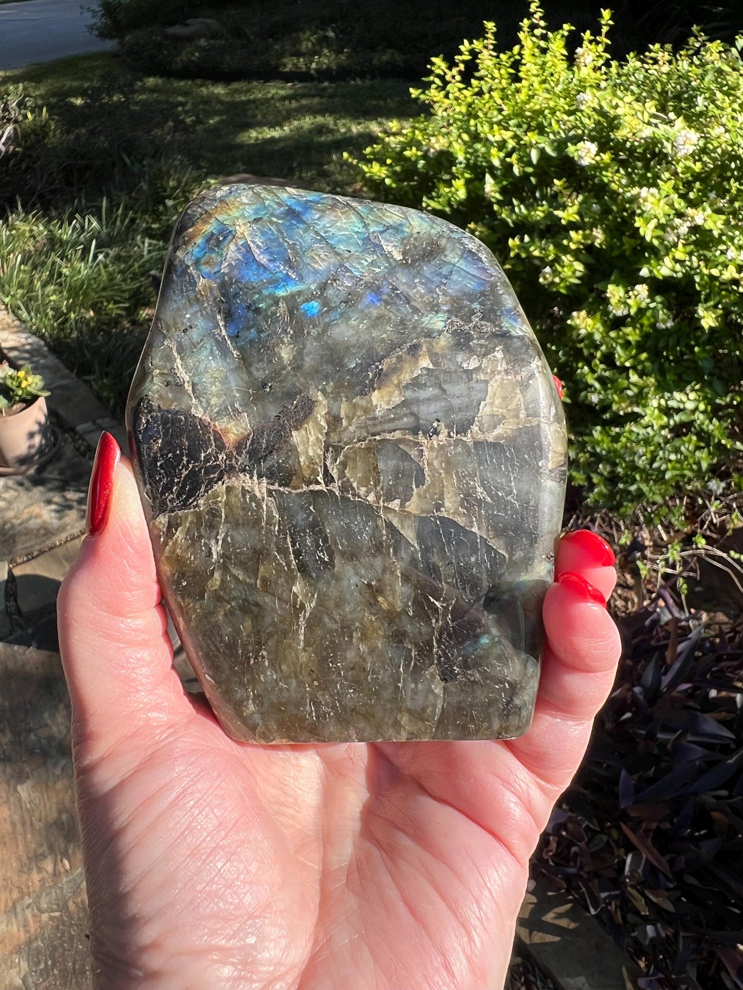 Heavy Labradorite Freeform Chunk, gorgeous rainbows blue flash, New, Gift