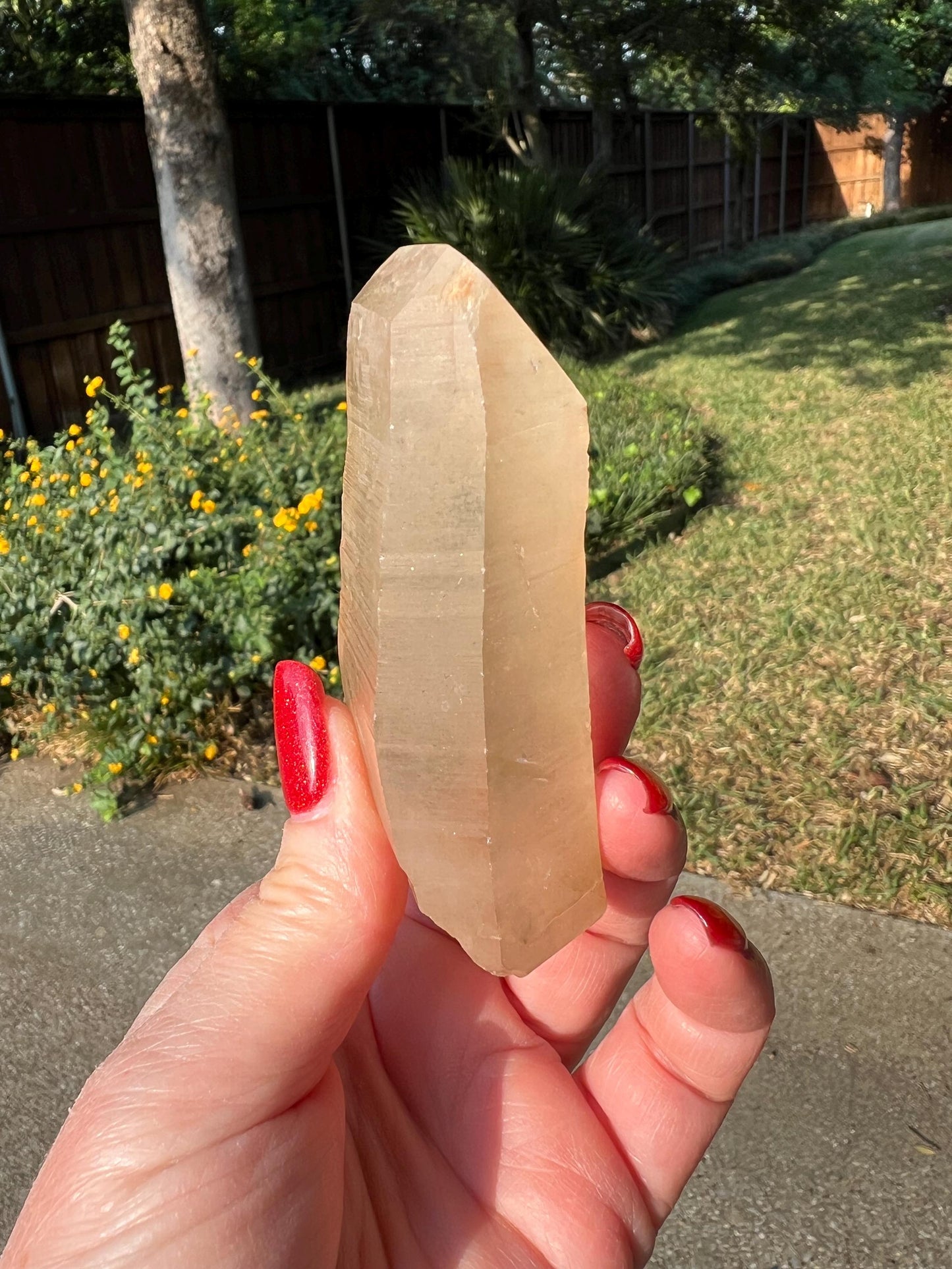 Rare Gold Lemurian, new, high quality, 3.25”, crystal healing, gift