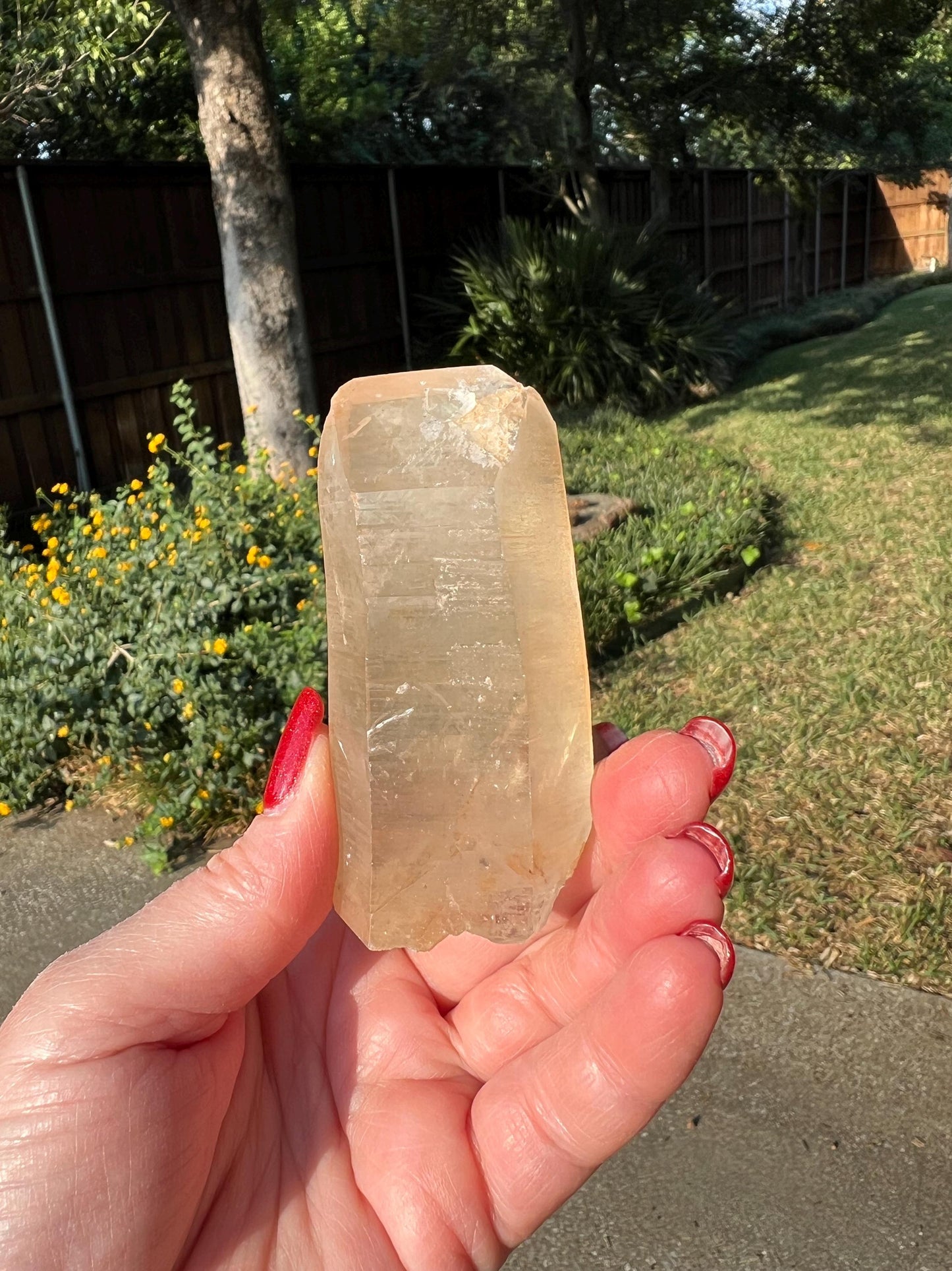 Rare Gold Lemurian, new, high quality, 3.25”, crystal healing, gift