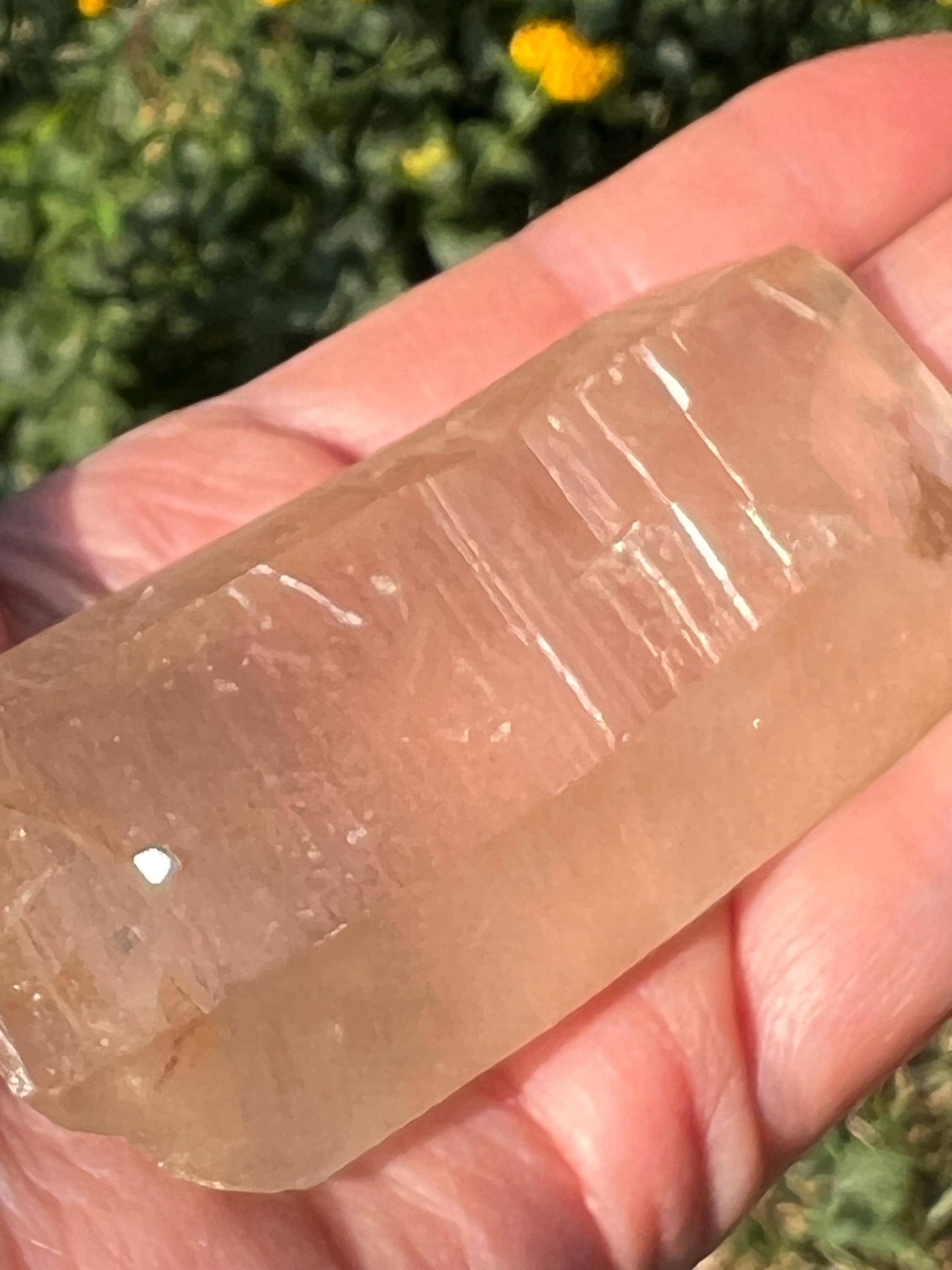 Rare Gold Lemurian, new, high quality, 3.25”, crystal healing, gift