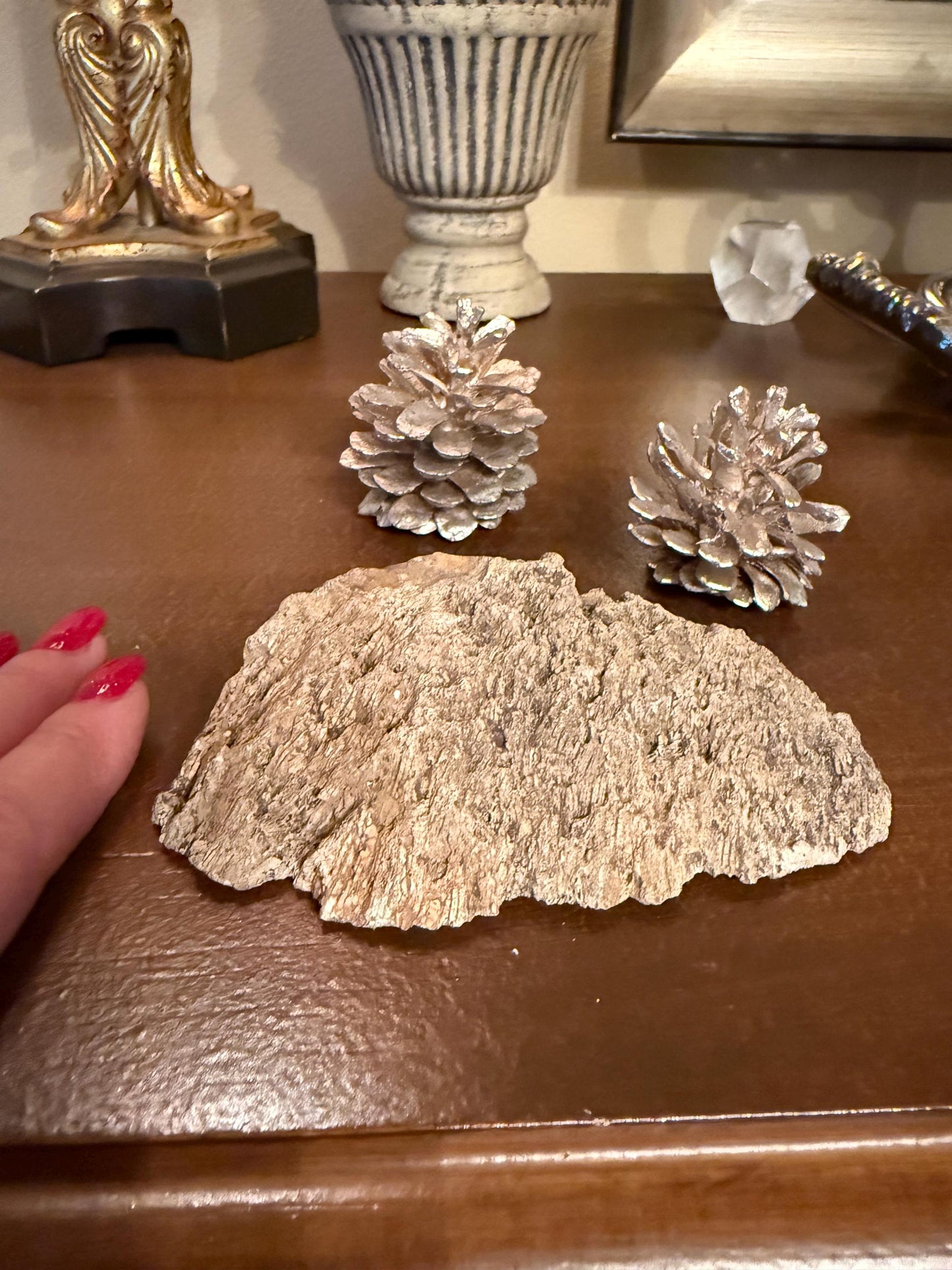 Fossilized Coral Slab, 4.5”, Amazing Patterns, Crystal Skulls, altar, gift, high vibration crystals