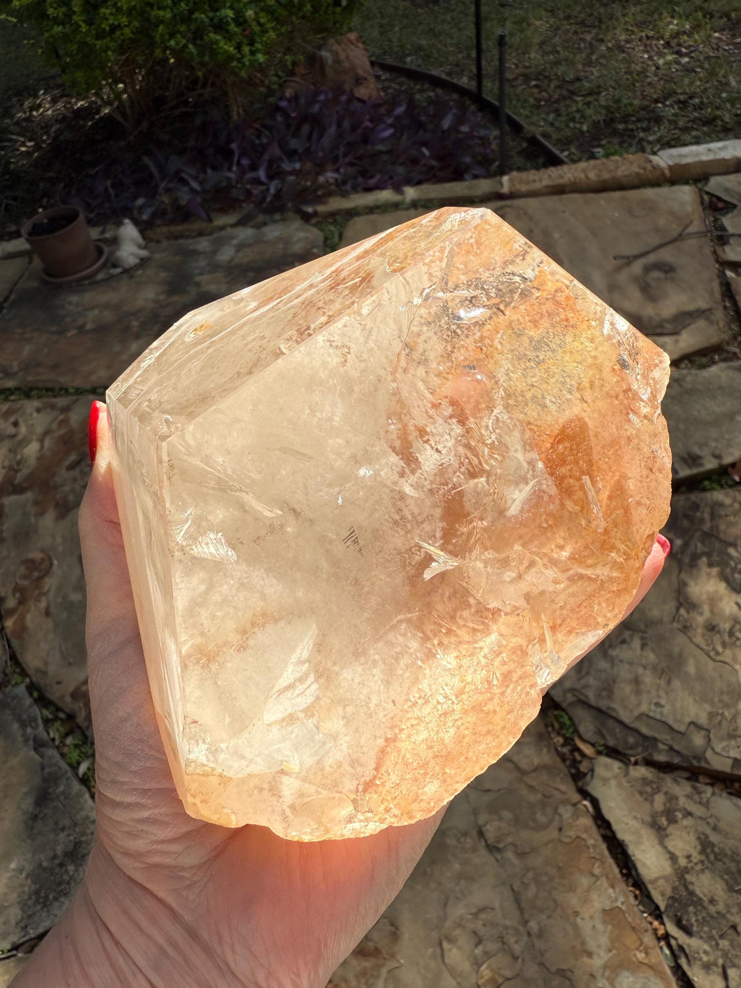 Fantastic Quartz Golden Healer Statement Piece , new, altar, crystal healing, high vibration crystals, 5.5”, 4 lbs