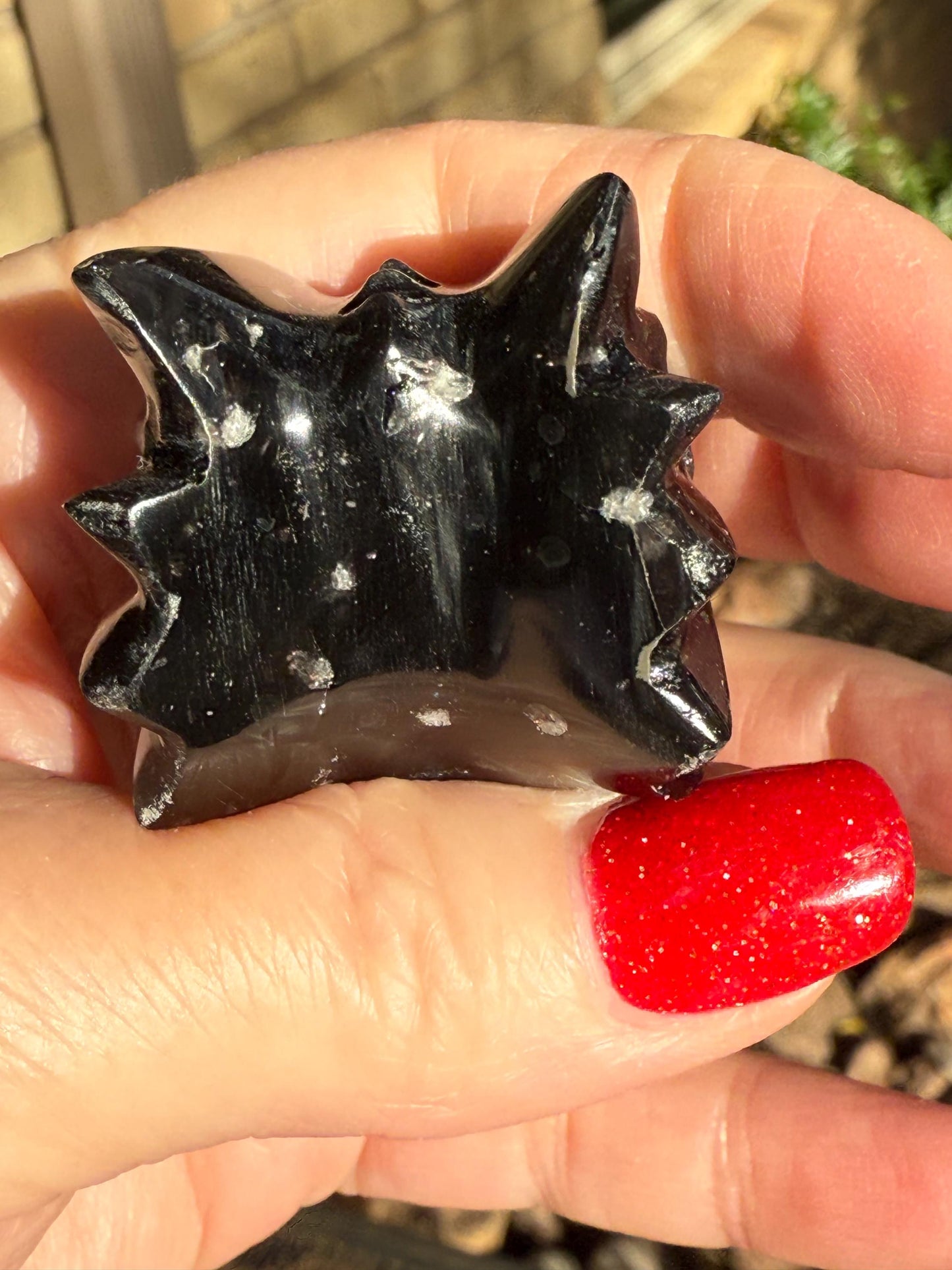 Agni Manitite Tektite Dragon Skull 2”, beautifully carved, crystal healing, premium crystals