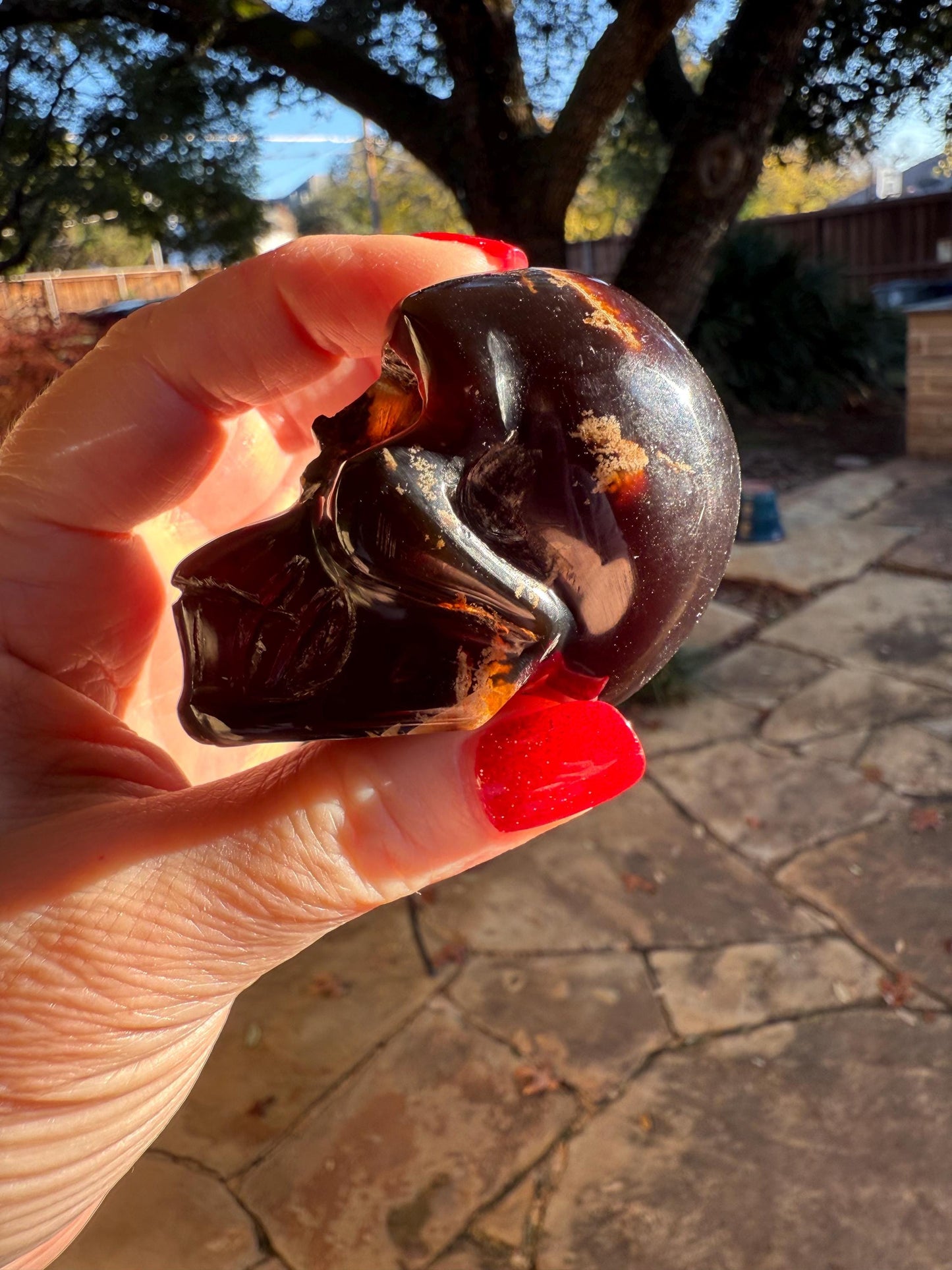 Amber Skull 2.25”, New, Crystal Healing, High Vibration Crystals, altar, gift, authentic amber