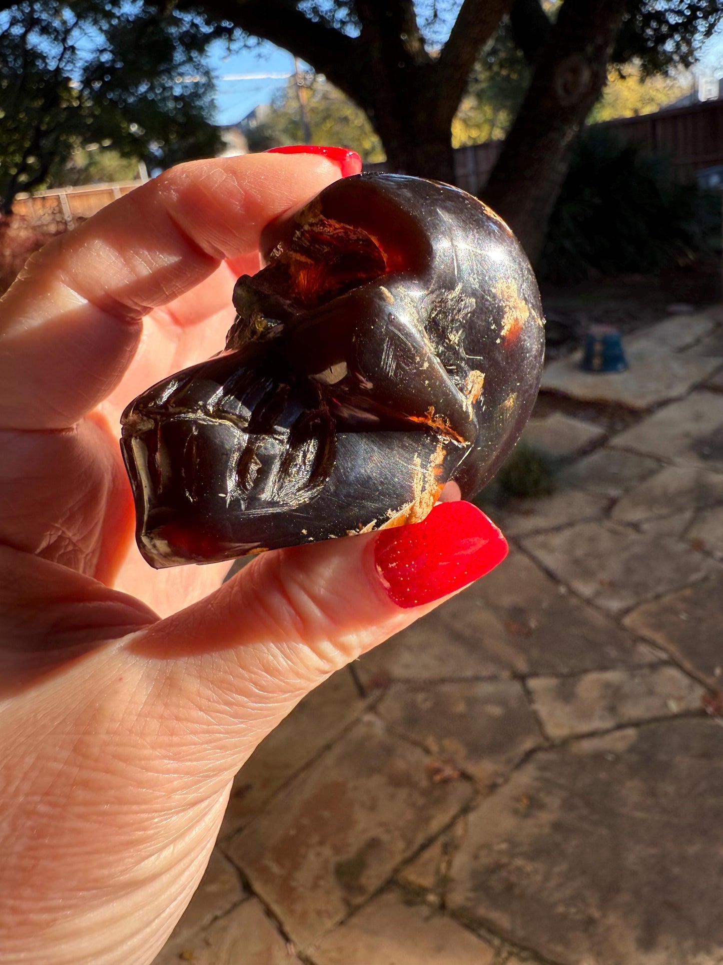 Amber Skull 2.25”, New, Crystal Healing, High Vibration Crystals, altar, gift, authentic amber