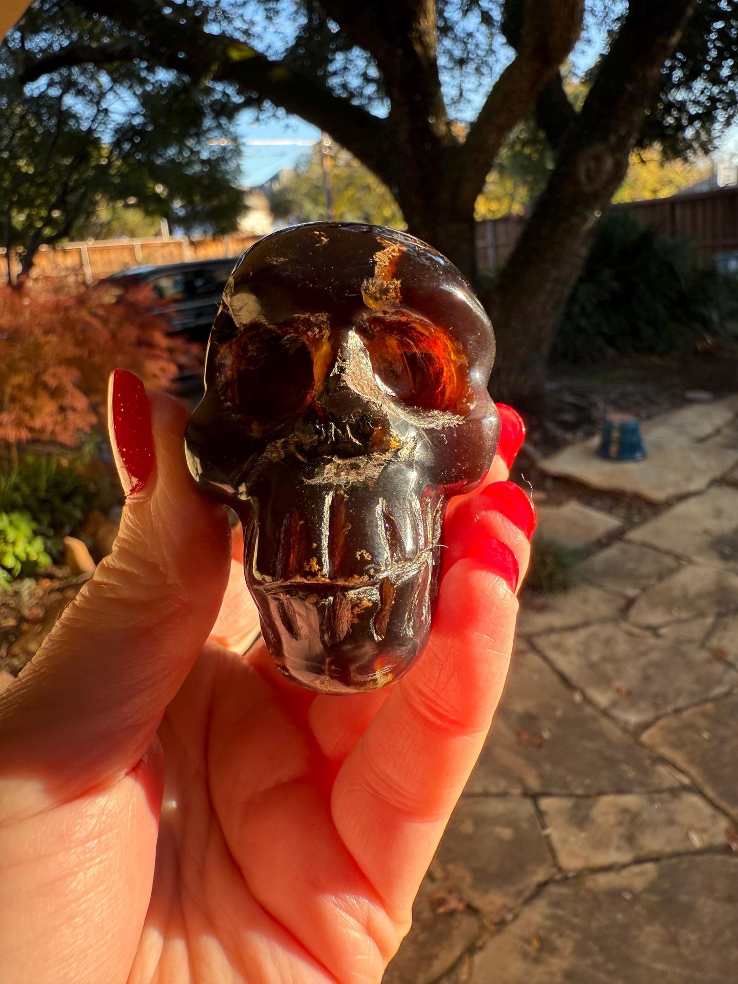 Amber Skull 2.25”, New, Crystal Healing, High Vibration Crystals, altar, gift, authentic amber