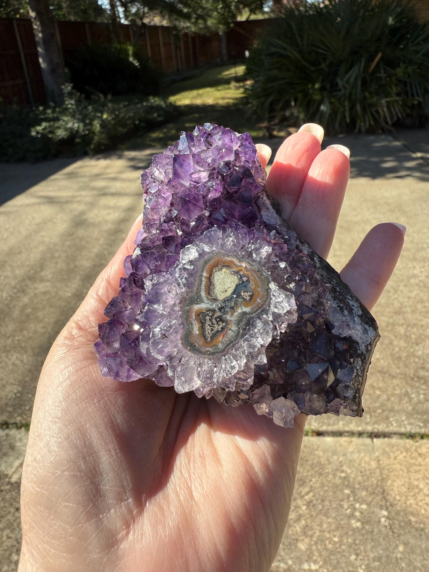 Deep Purple Galaxy Stalactite Eye Amethyst Bed, 4”, altar, gift, crystals, high vibration crystals