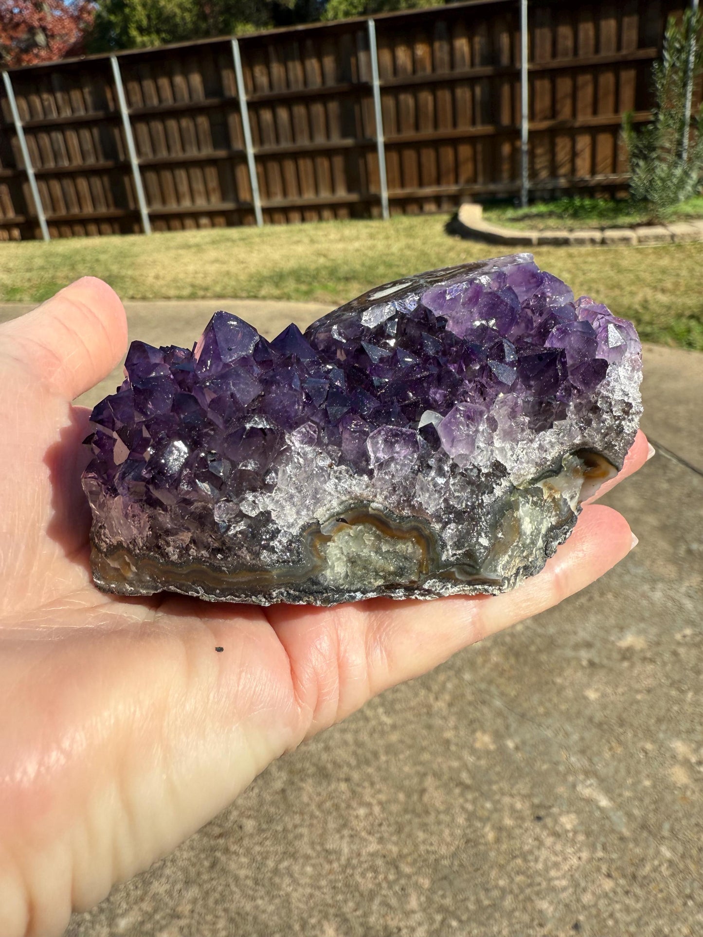 Deep Purple Galaxy Stalactite Eye Amethyst Bed, 4”, altar, gift, crystals, high vibration crystals