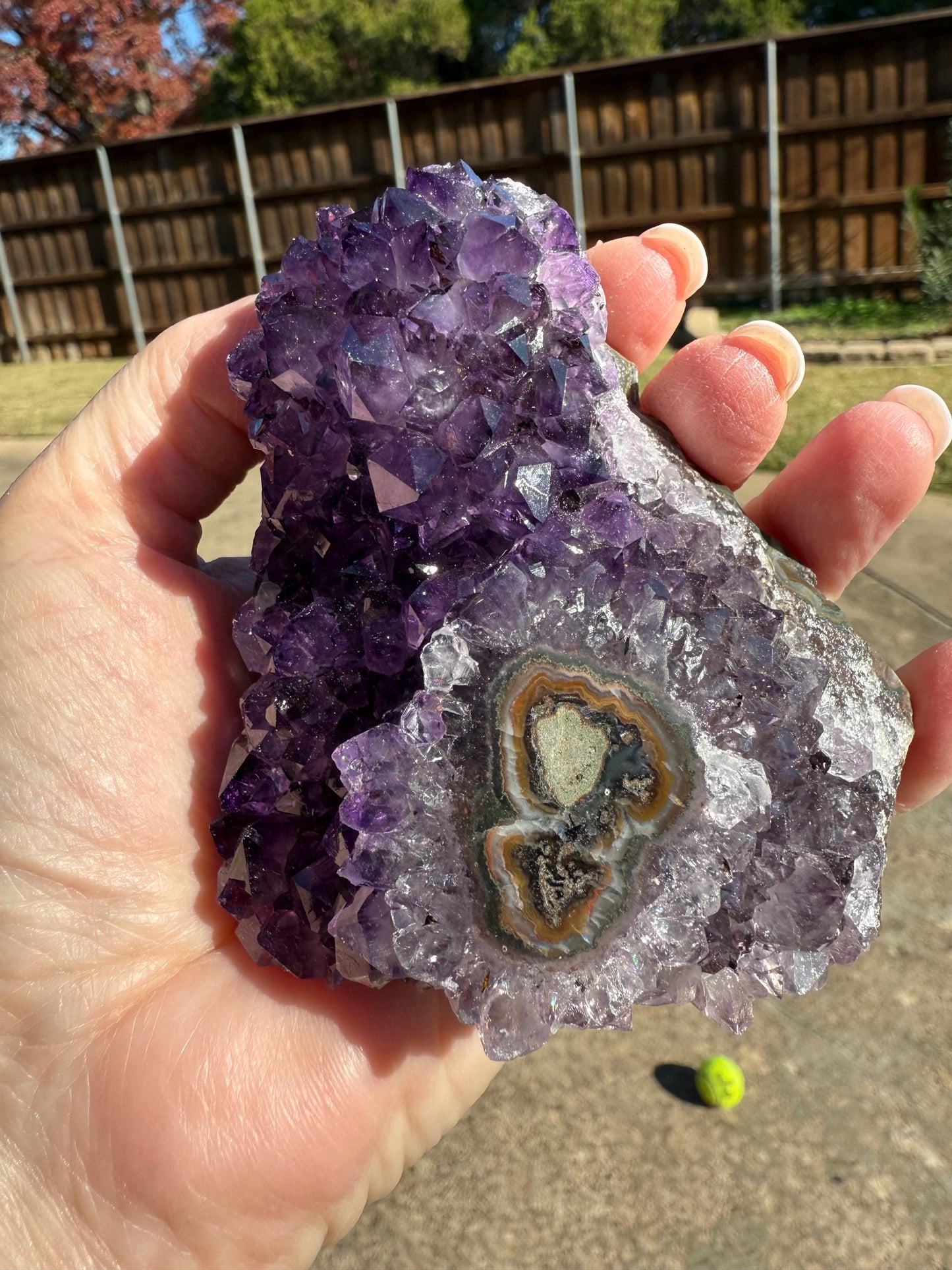Deep Purple Galaxy Stalactite Eye Amethyst Bed, 4”, altar, gift, crystals, high vibration crystals