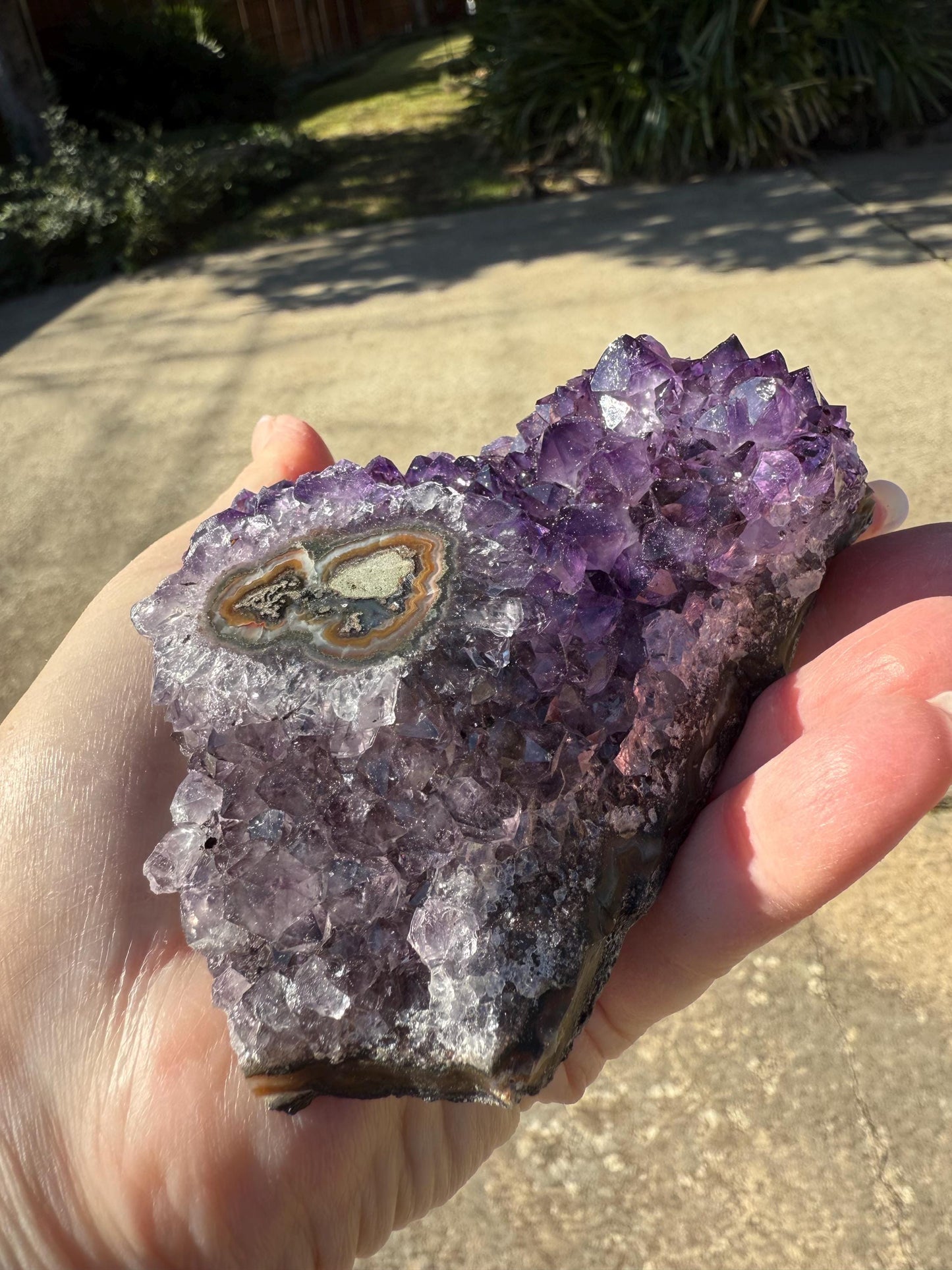 Deep Purple Galaxy Stalactite Eye Amethyst Bed, 4”, altar, gift, crystals, high vibration crystals