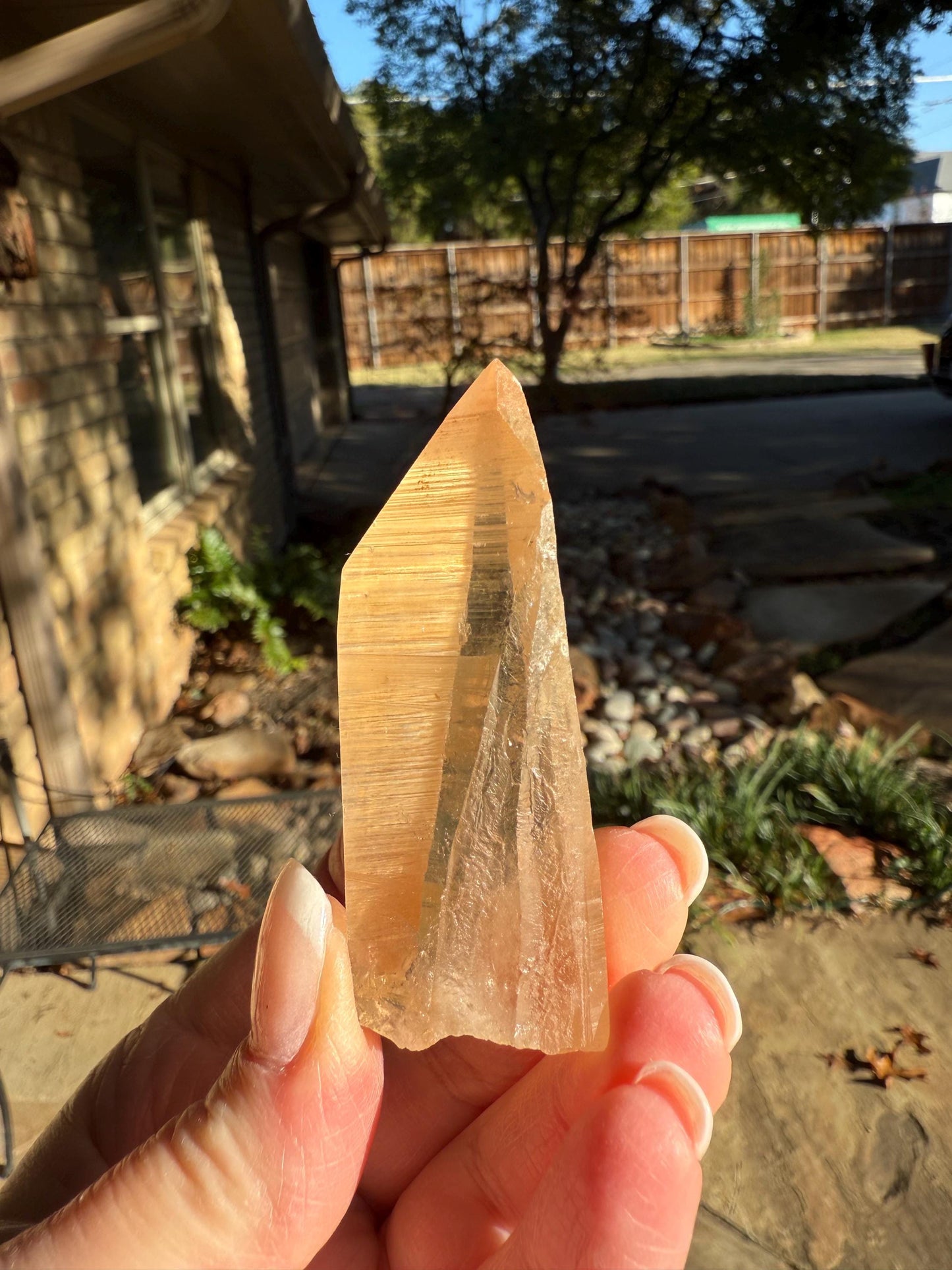Banff-Blessed Golden Lemurian Wand, Rare, New, gift, 2.4”, crystal healing, high vibration crystals