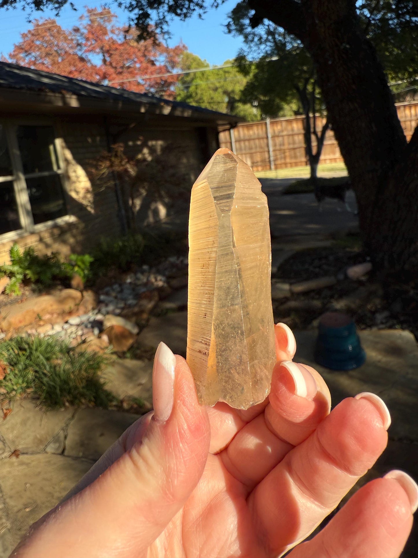 Banff-Blessed Golden Lemurian Wand, Rare, New, gift, 2.4”, crystal healing, high vibration crystals