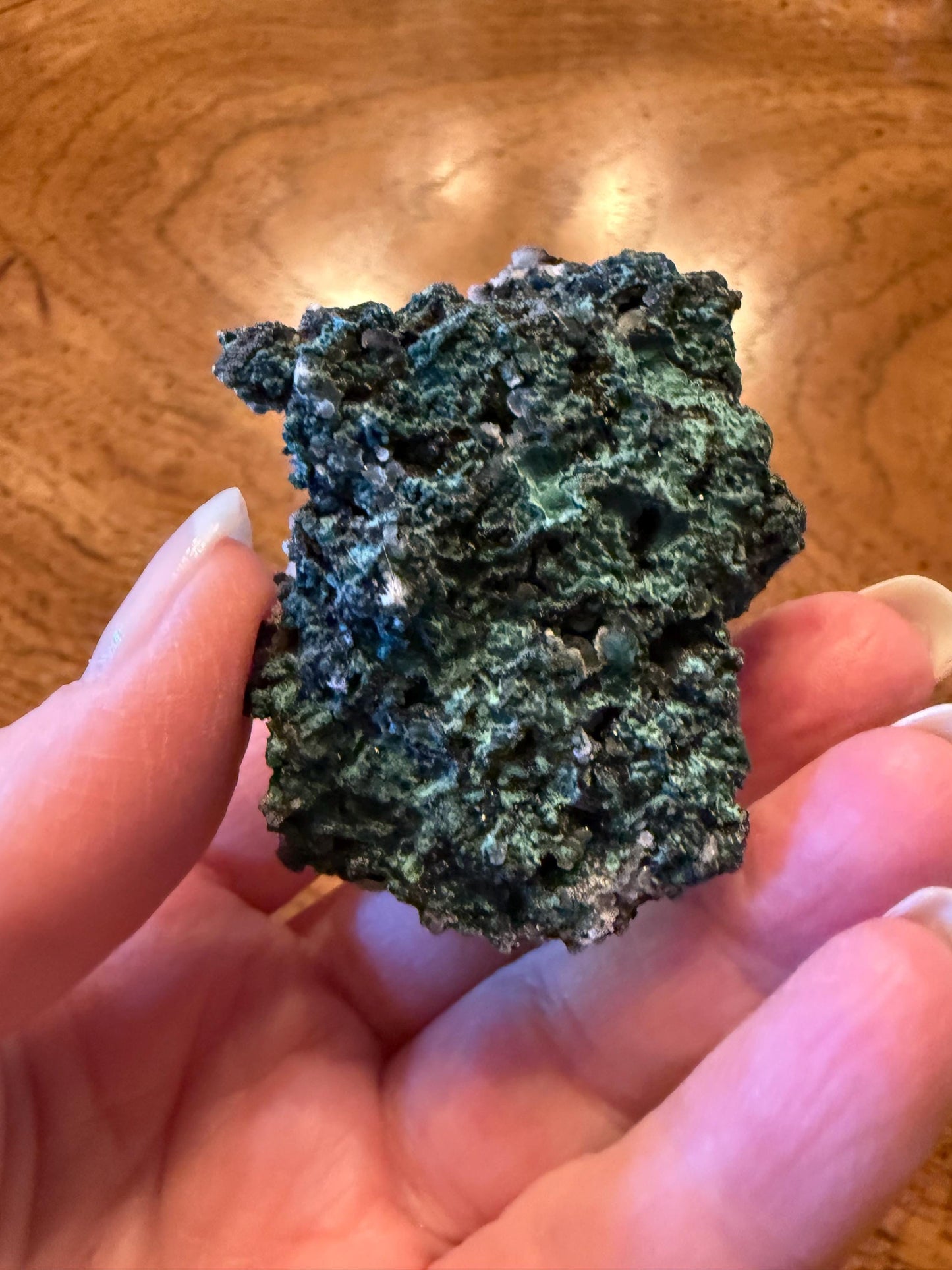 Sparkly Apophyllite Fairy Rosette Bed with points like diamonds, new, high vibration crystals, gifts, altar, 2”