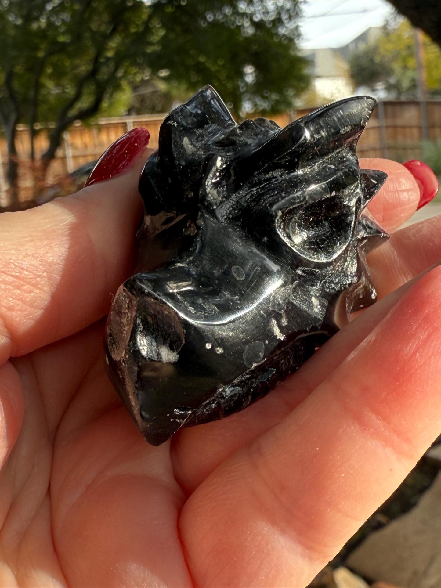 Agni Manitite Tektite Dragon Skull 2”, beautifully carved, crystal healing, premium crystals