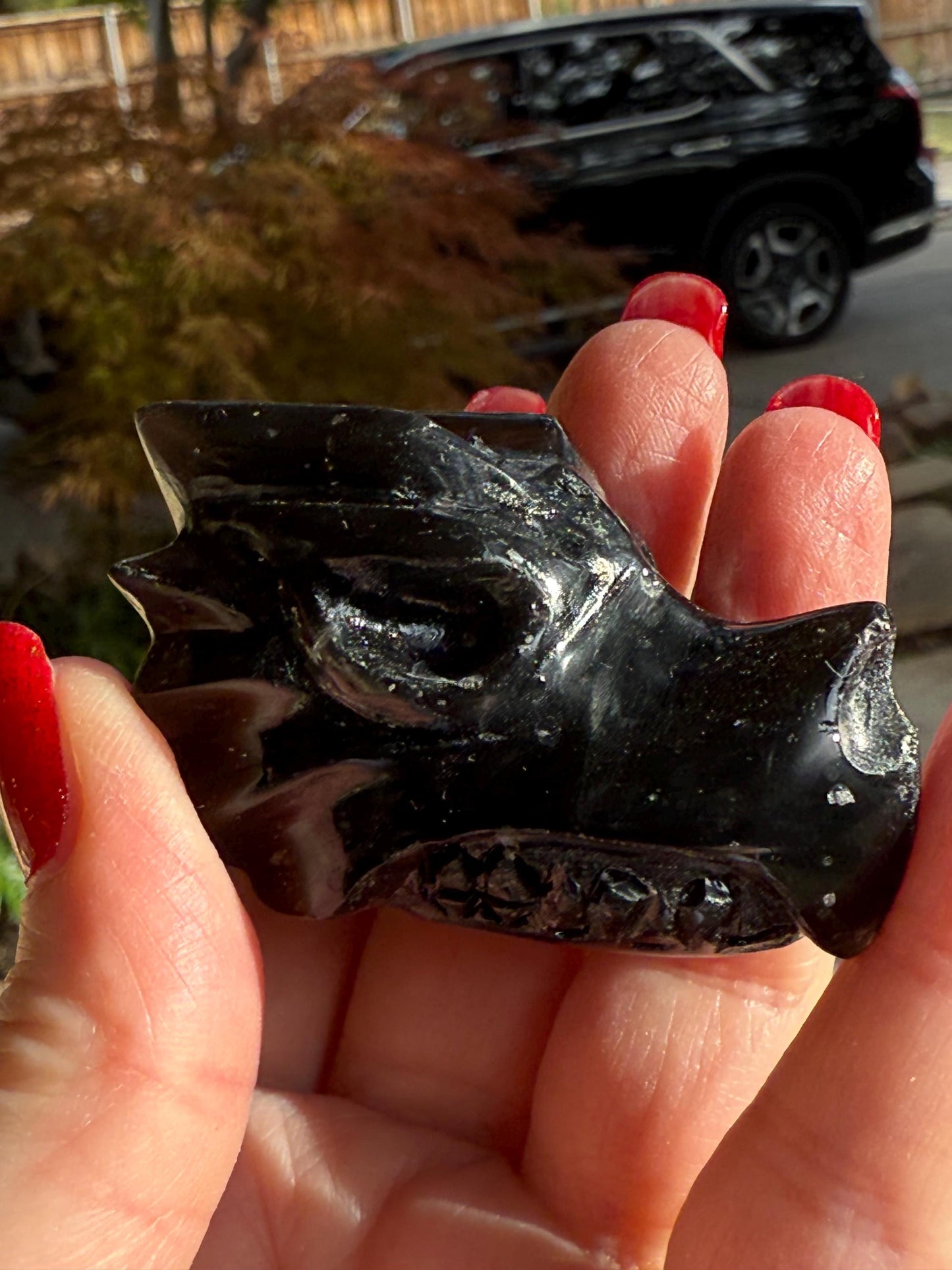 Agni Manitite Tektite Dragon Skull 2”, beautifully carved, crystal healing, premium crystals