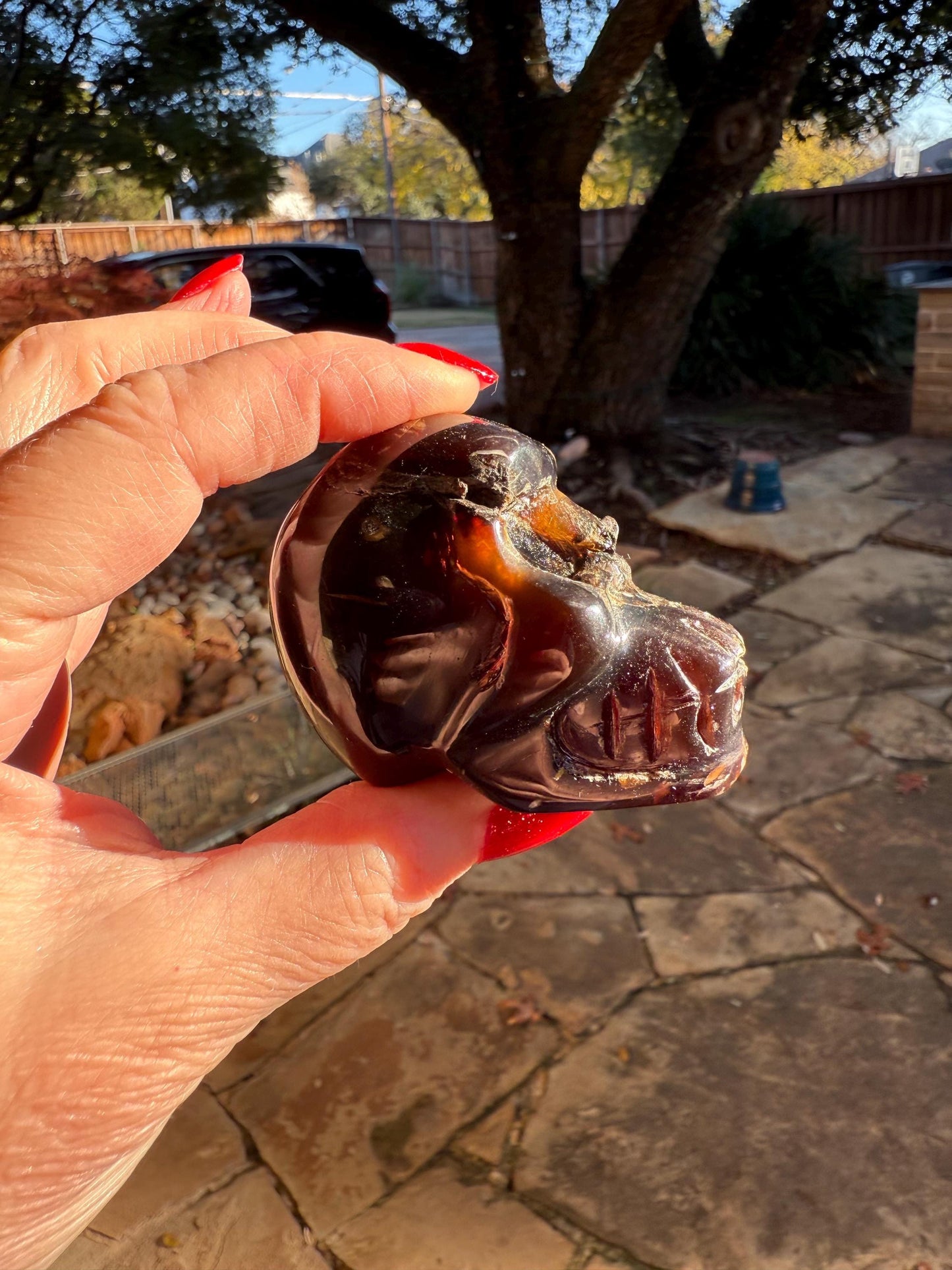 Amber Skull 2.25”, New, Crystal Healing, High Vibration Crystals, altar, gift, authentic amber