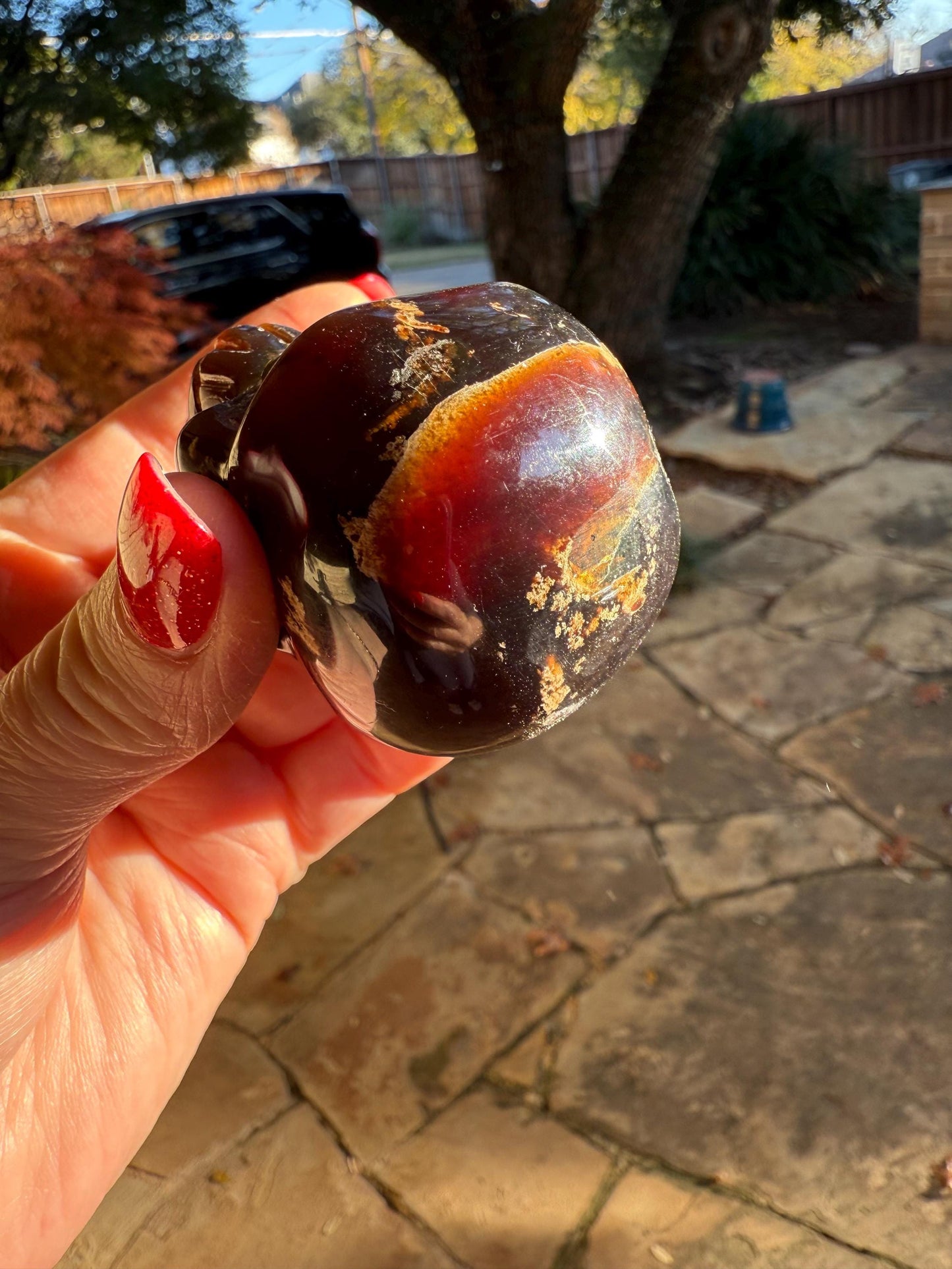 Amber Skull 2.25”, New, Crystal Healing, High Vibration Crystals, altar, gift, authentic amber