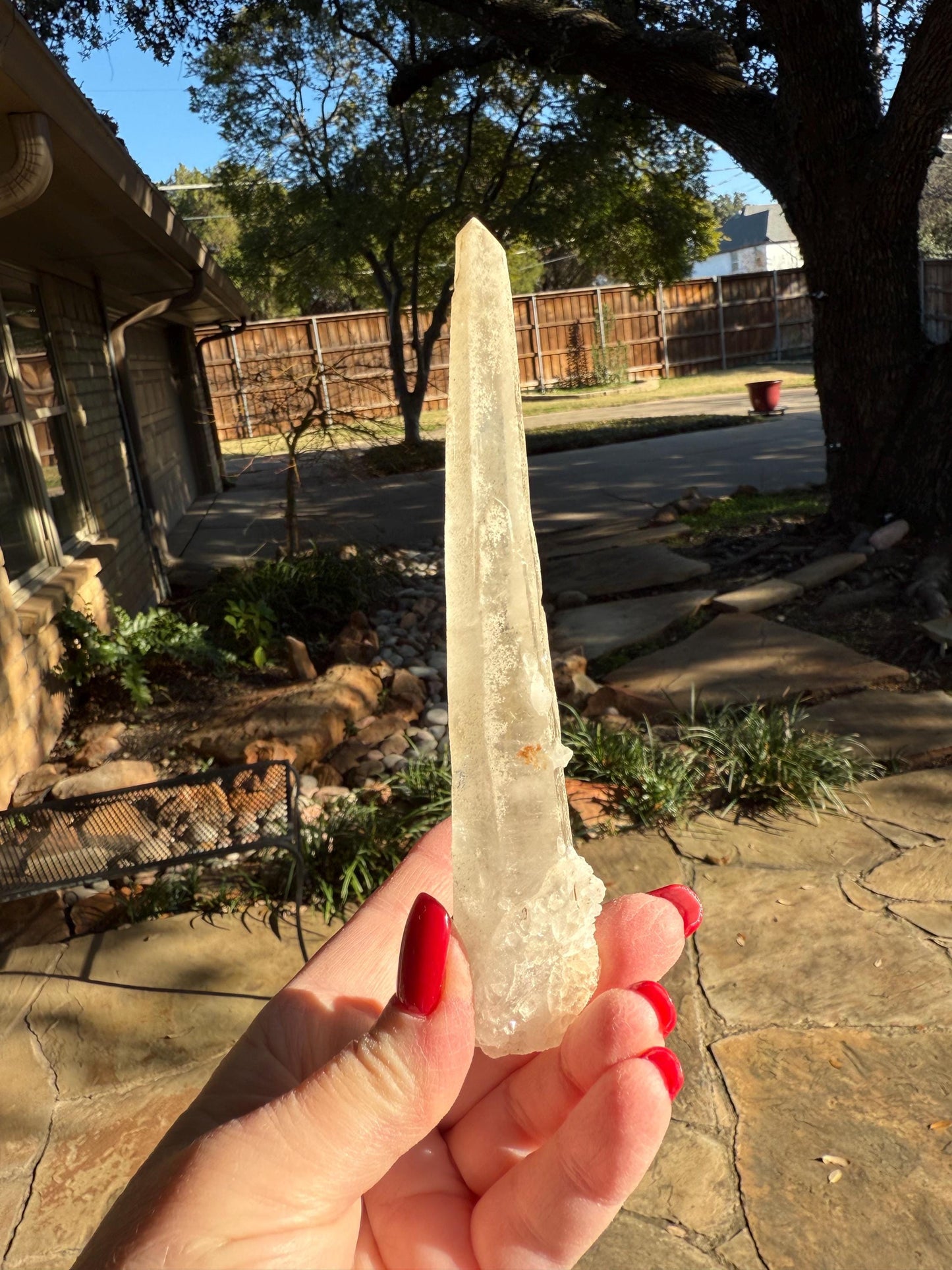 Laser Sugared Lemurian Witch’s Finger Wand, 5.75”, crown bottom, gift, high vibration crystals