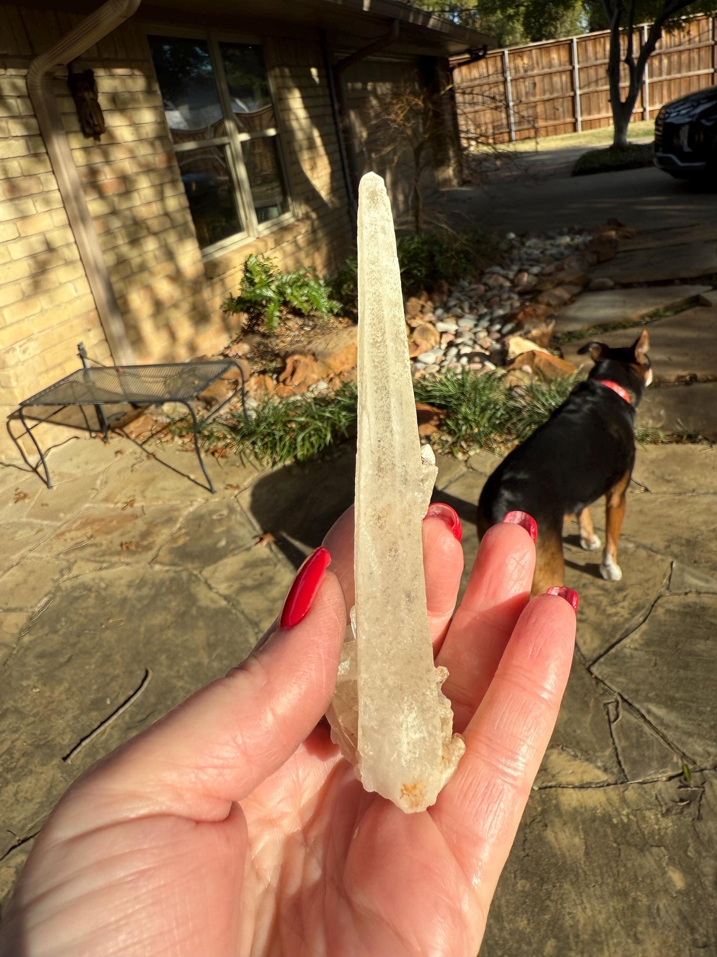 Laser Sugared Lemurian Wand 5”, crown bottom, New, gift, altar, high vibration crystals