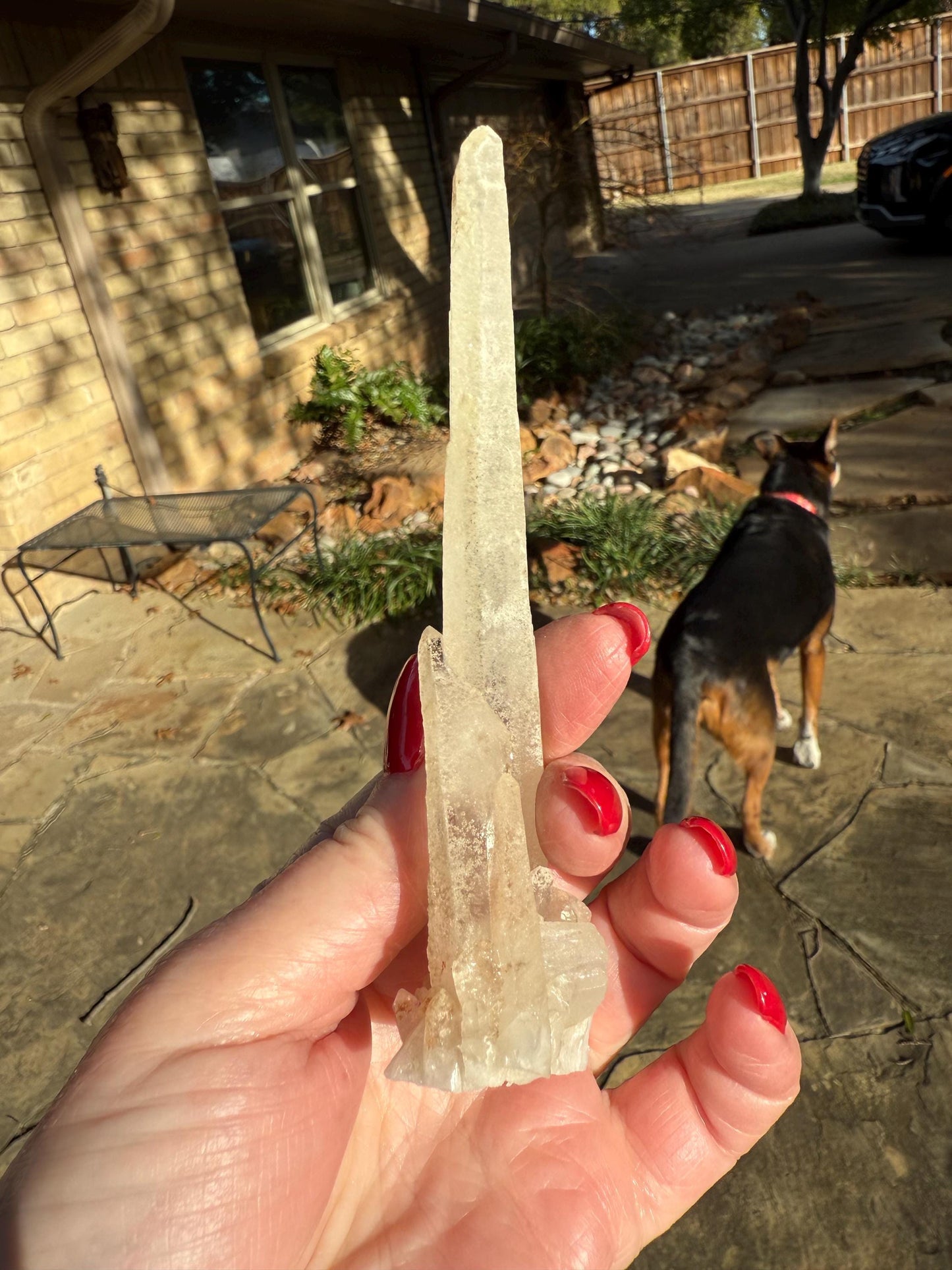Laser Sugared Lemurian Wand 5”, crown bottom, New, gift, altar, high vibration crystals