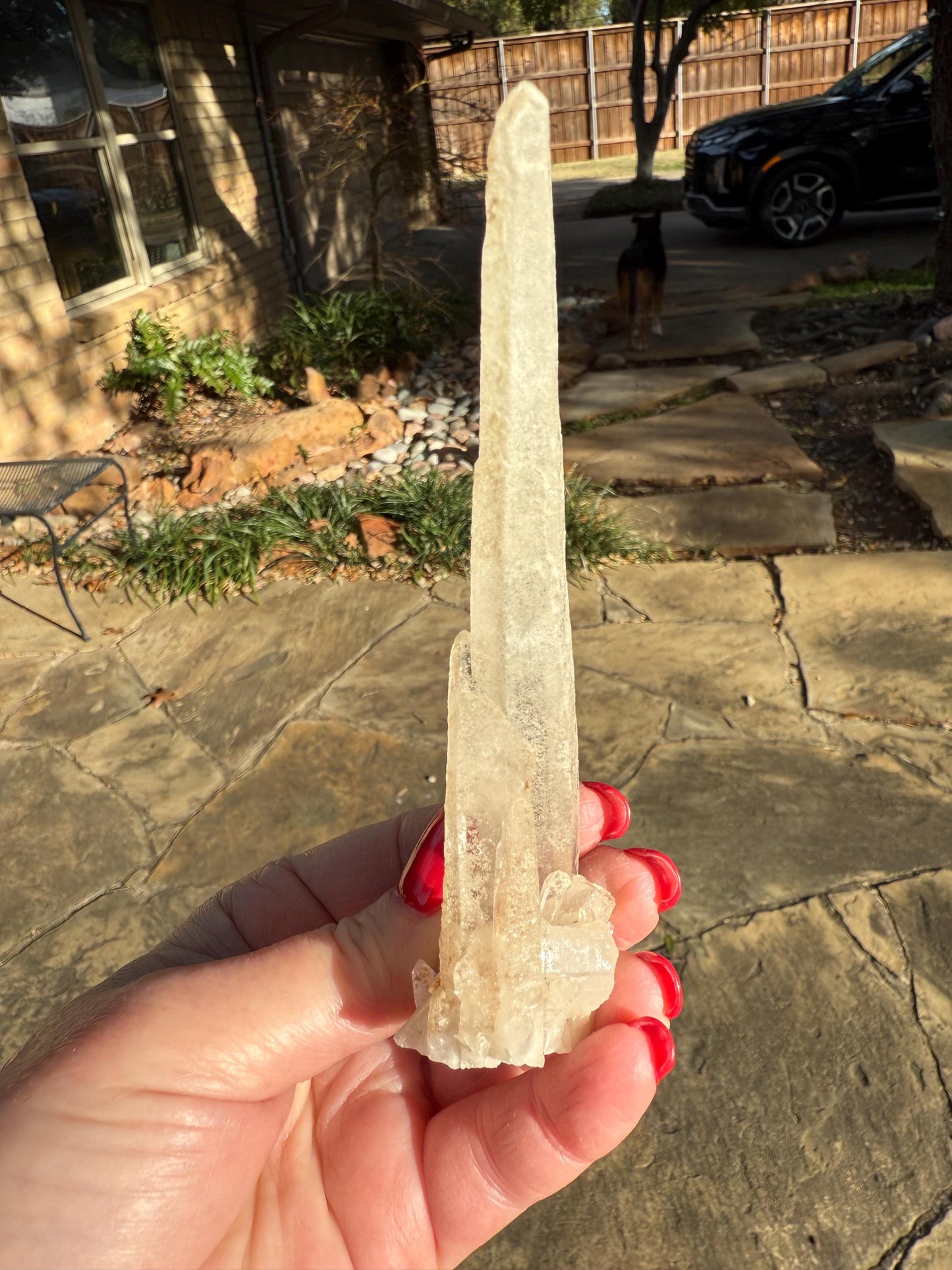 Laser Sugared Lemurian Wand 5”, crown bottom, New, gift, altar, high vibration crystals