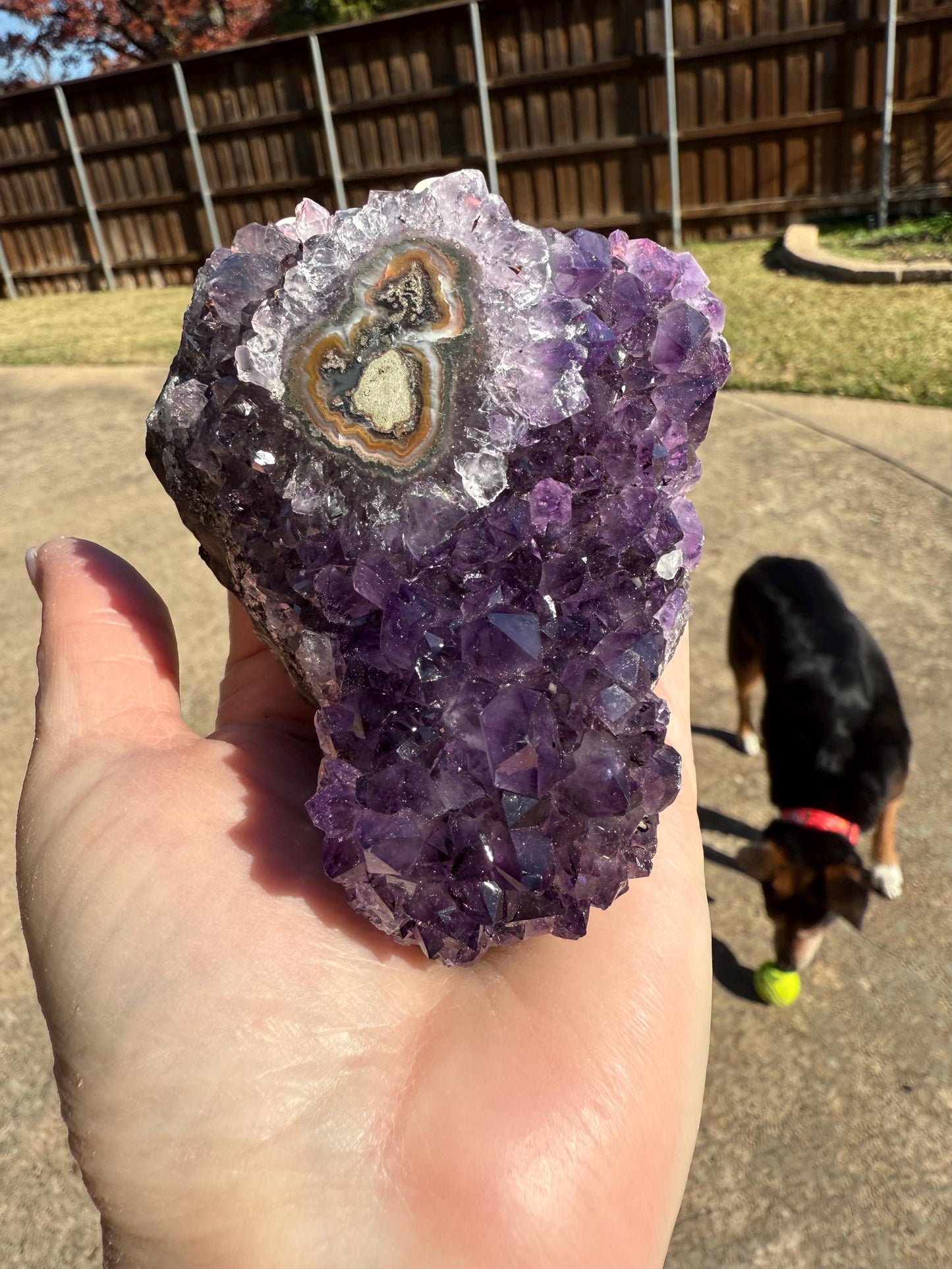 Deep Purple Galaxy Stalactite Eye Amethyst Bed, 4”, altar, gift, crystals, high vibration crystals