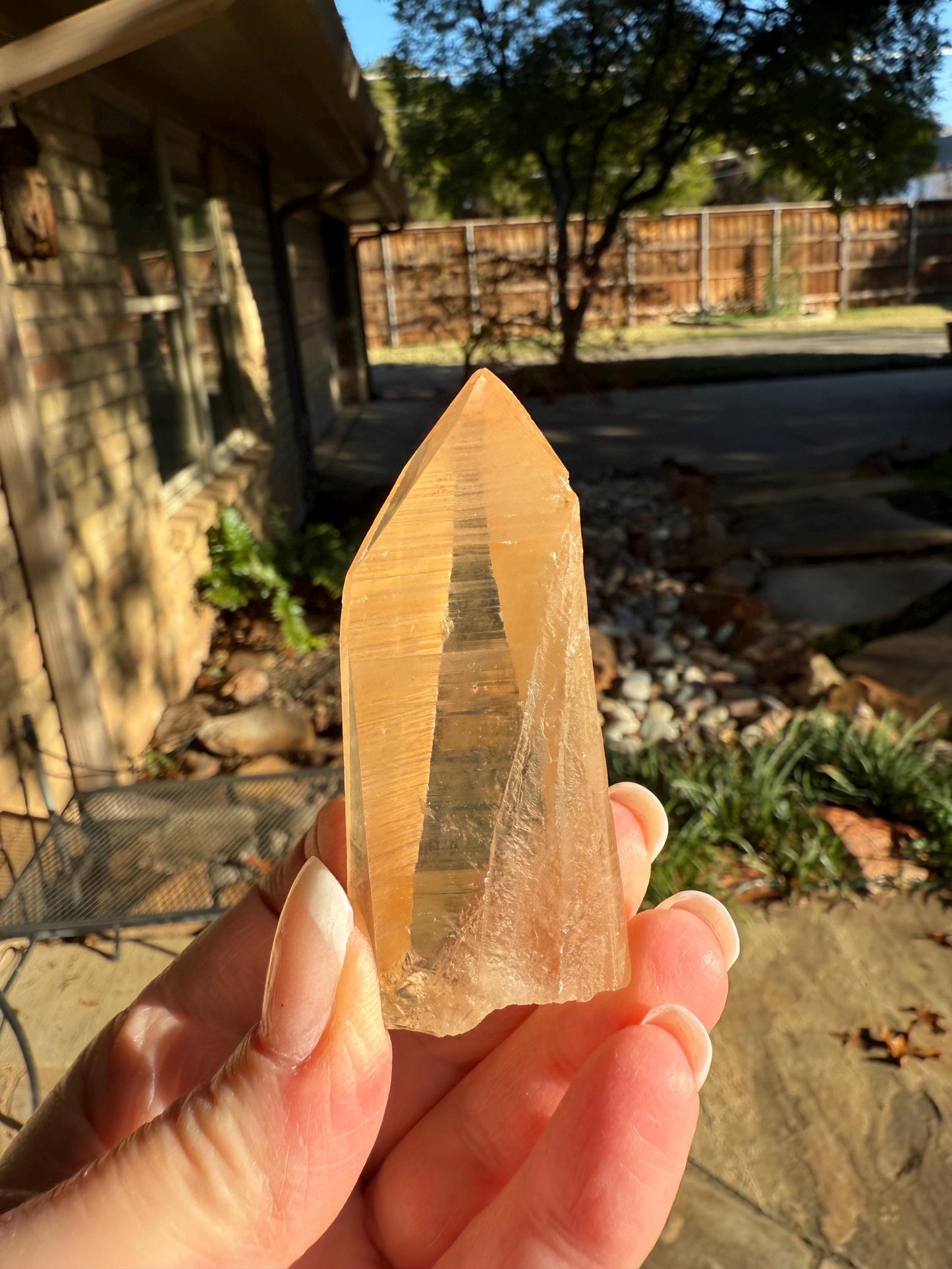 Banff-Blessed Golden Lemurian Wand, Rare, New, gift, 2.4”, crystal healing, high vibration crystals