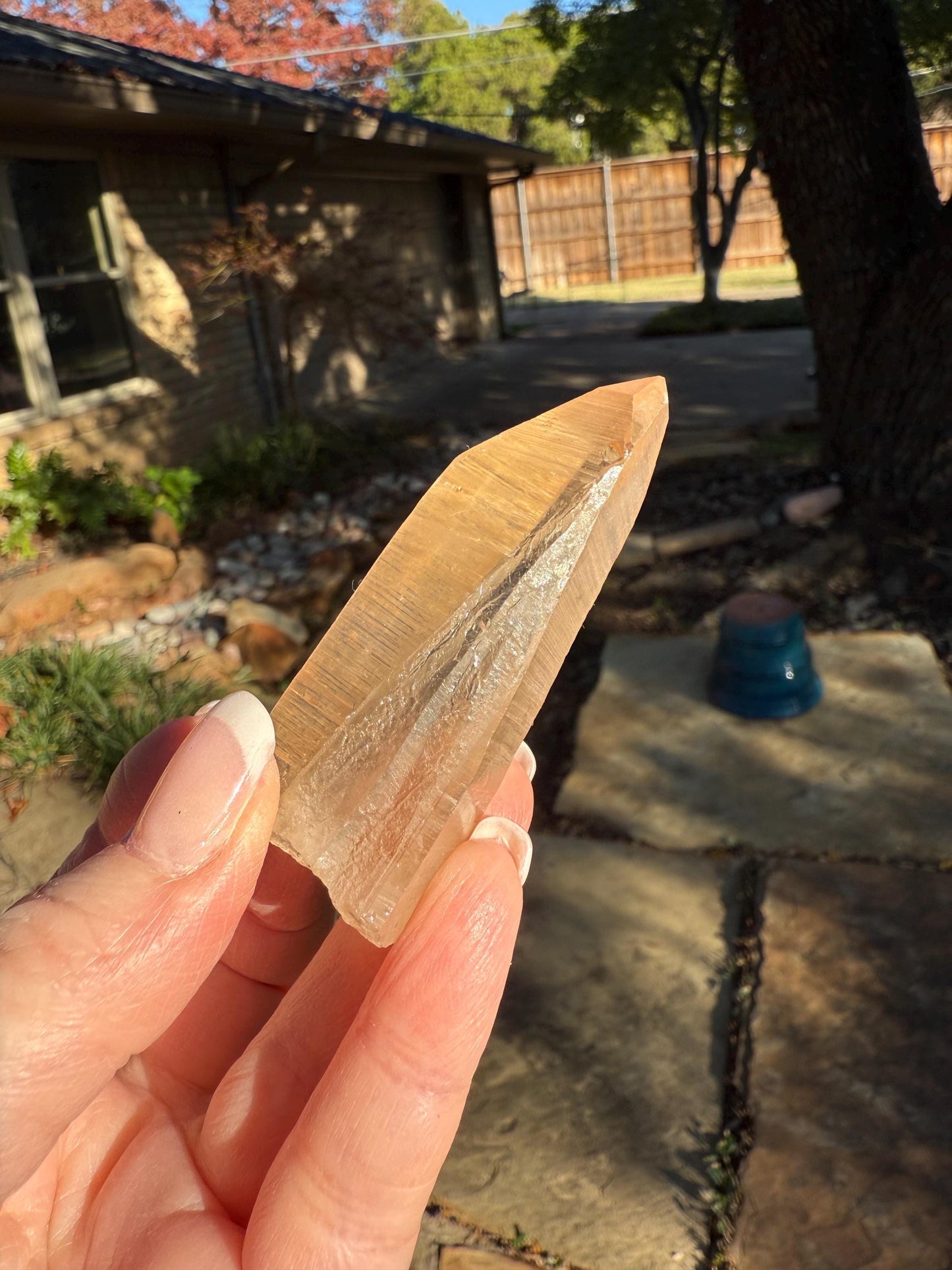 Banff-Blessed Golden Lemurian Wand, Rare, New, gift, 2.4”, crystal healing, high vibration crystals
