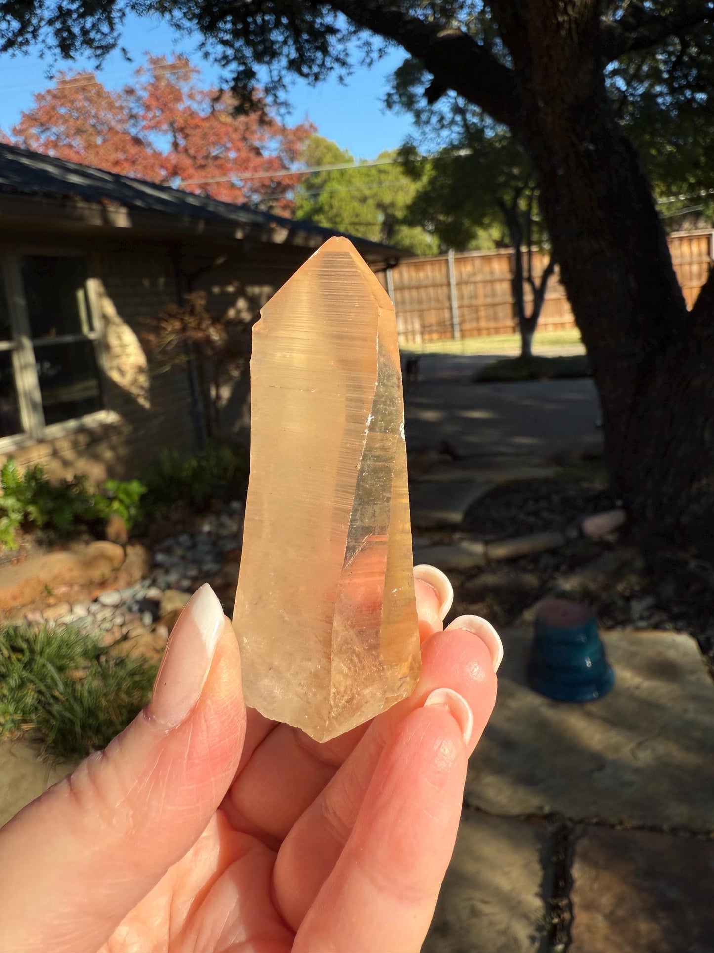 Banff-Blessed Golden Lemurian Wand, Rare, New, gift, 2.4”, crystal healing, high vibration crystals