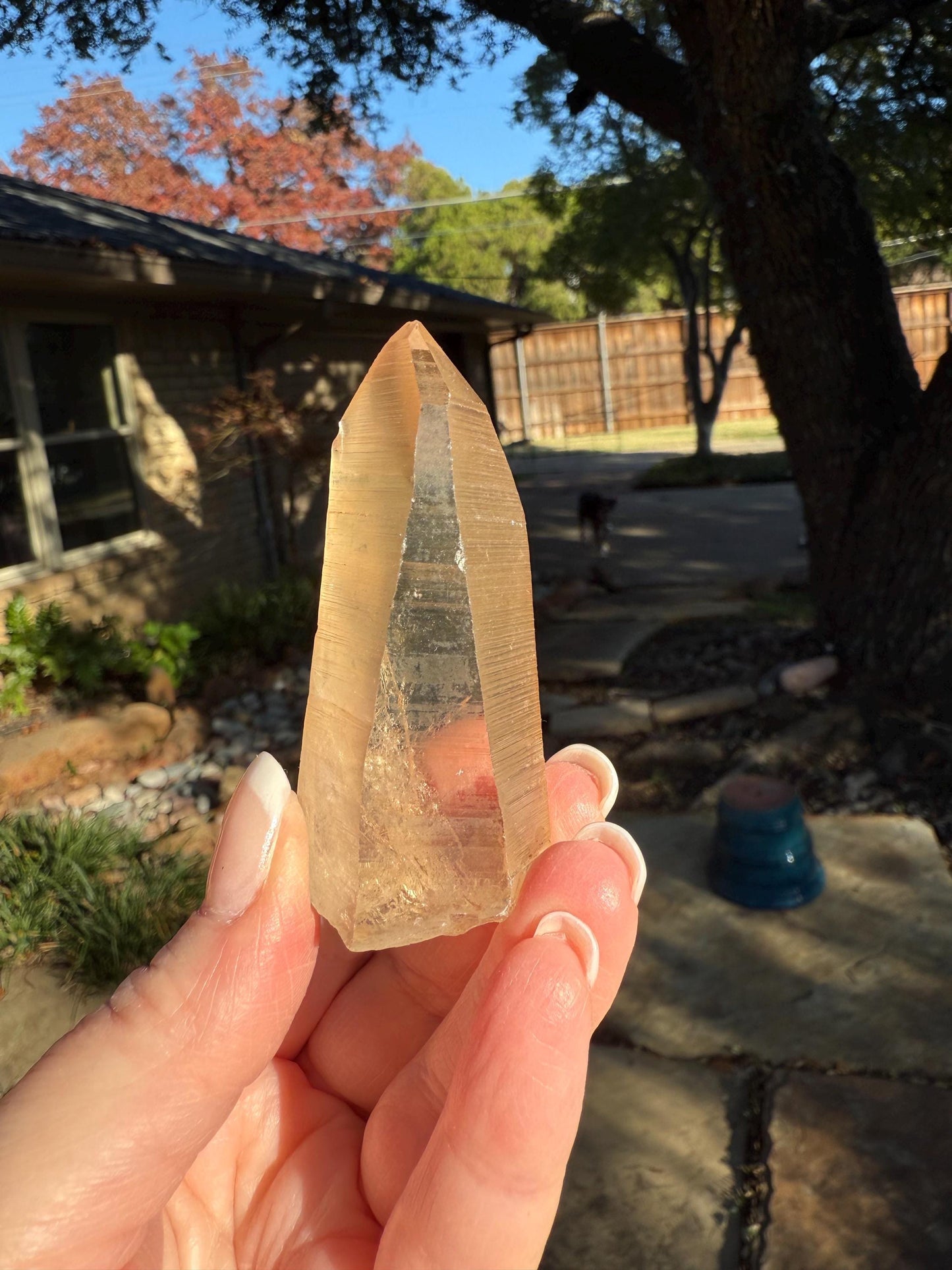 Banff-Blessed Golden Lemurian Wand, Rare, New, gift, 2.4”, crystal healing, high vibration crystals