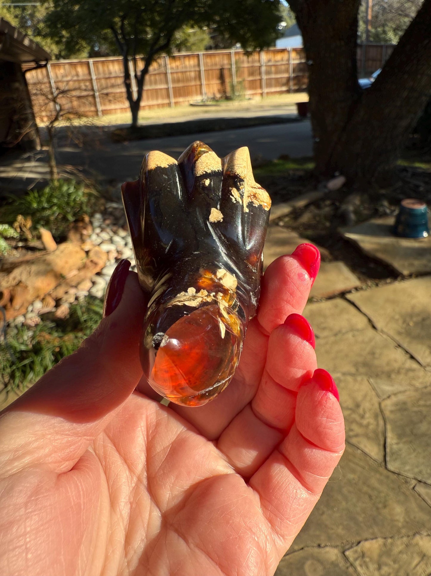 Amber Dragon 3”, Rare, Crystal Healing, High Vibration Crystals, altar, gift, authentic amber
