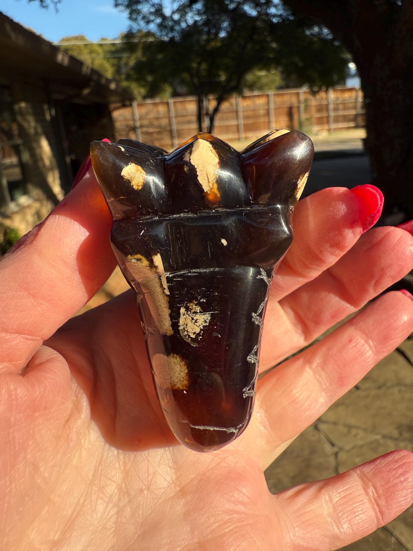 Amber Dragon 3”, Rare, Crystal Healing, High Vibration Crystals, altar, gift, authentic amber