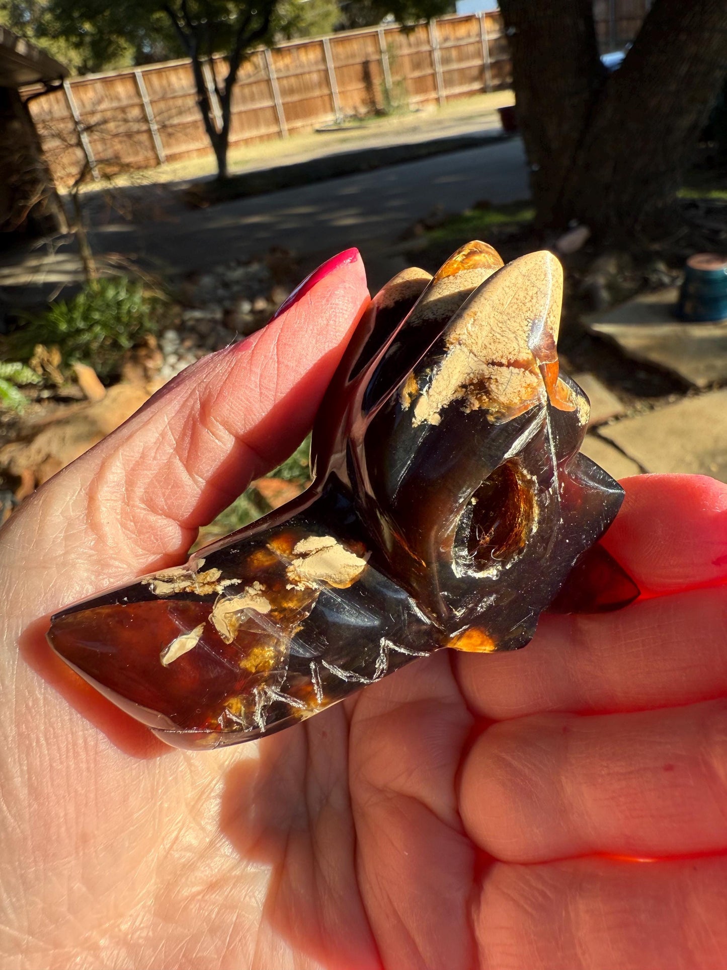 Amber Dragon 3”, Rare, Crystal Healing, High Vibration Crystals, altar, gift, authentic amber