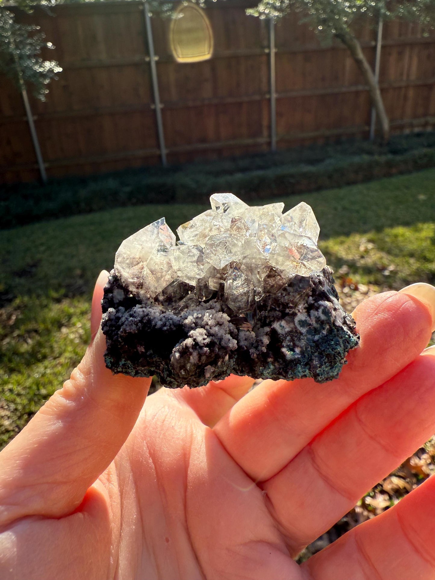 Sparkly Apophyllite Fairy Rosette Bed with points like diamonds, new, high vibration crystals, gifts, altar, 2”