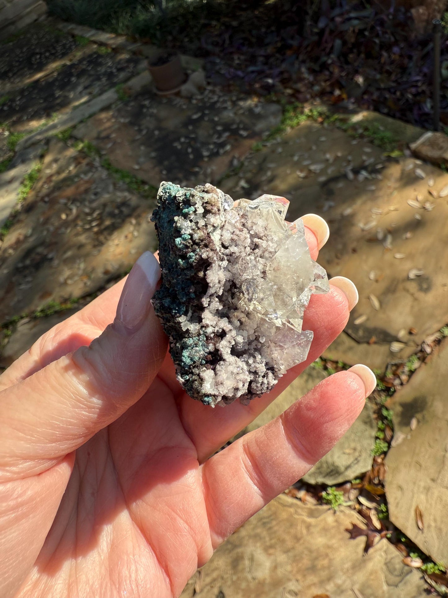 Sparkly Apophyllite Fairy Rosette Bed with points like diamonds, new, high vibration crystals, gifts, altar, 2”