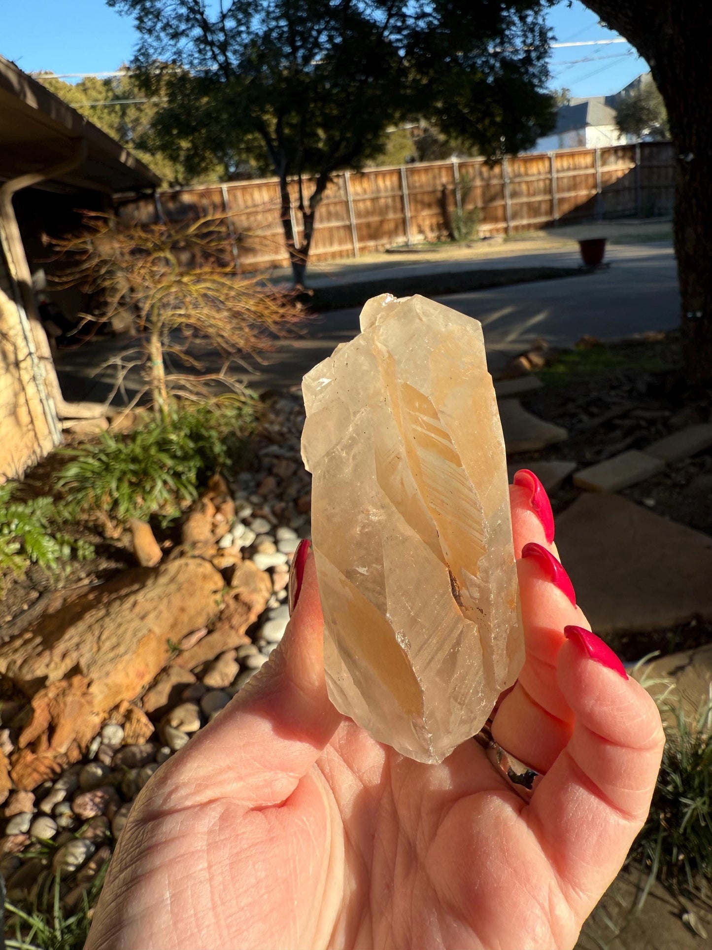 Rare Record Keeper Gold Lemurian, new, high quality, 5”, crystal healing, gift