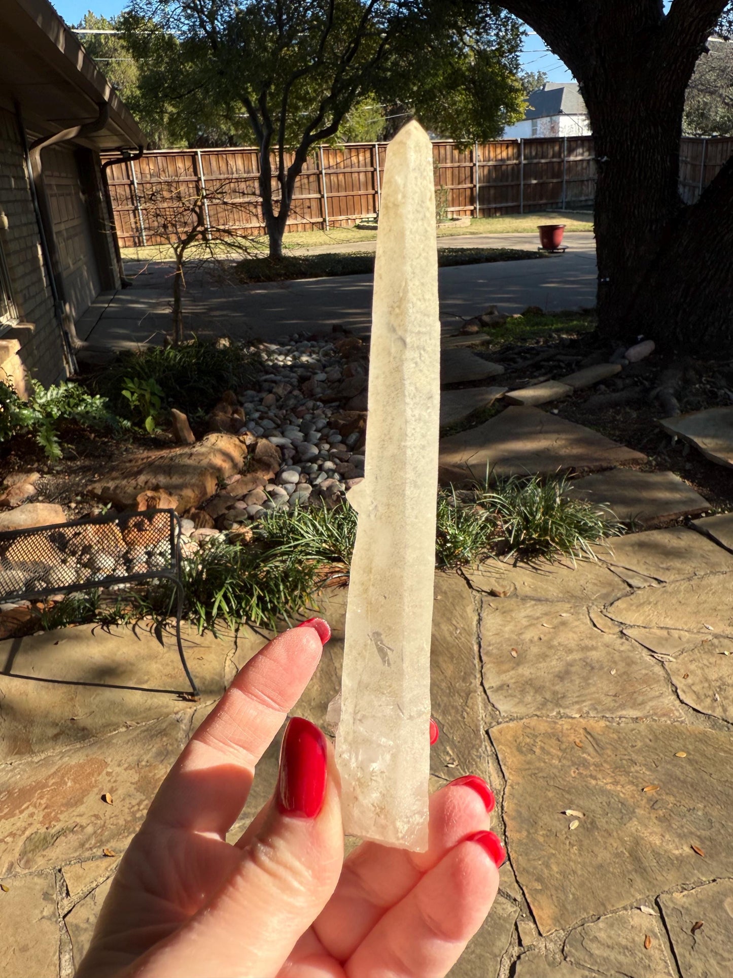 Laser Sugared Lemurian Witch’s Finger Wand, 5.75”, crown bottom, gift, high vibration crystals