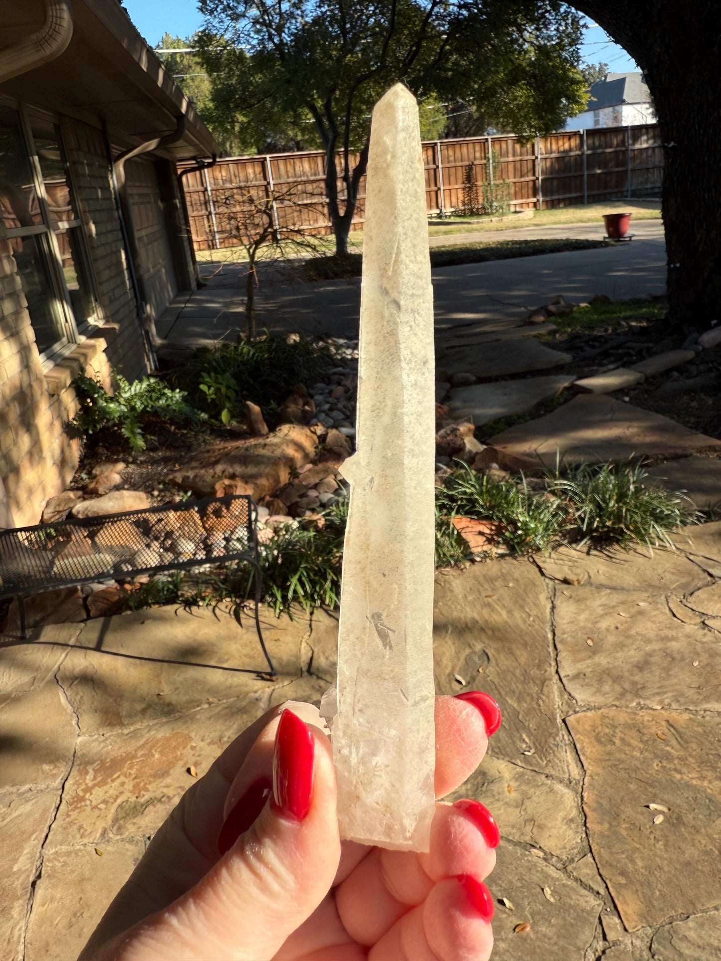 Laser Sugared Lemurian Witch’s Finger Wand, 5.75”, crown bottom, gift, high vibration crystals