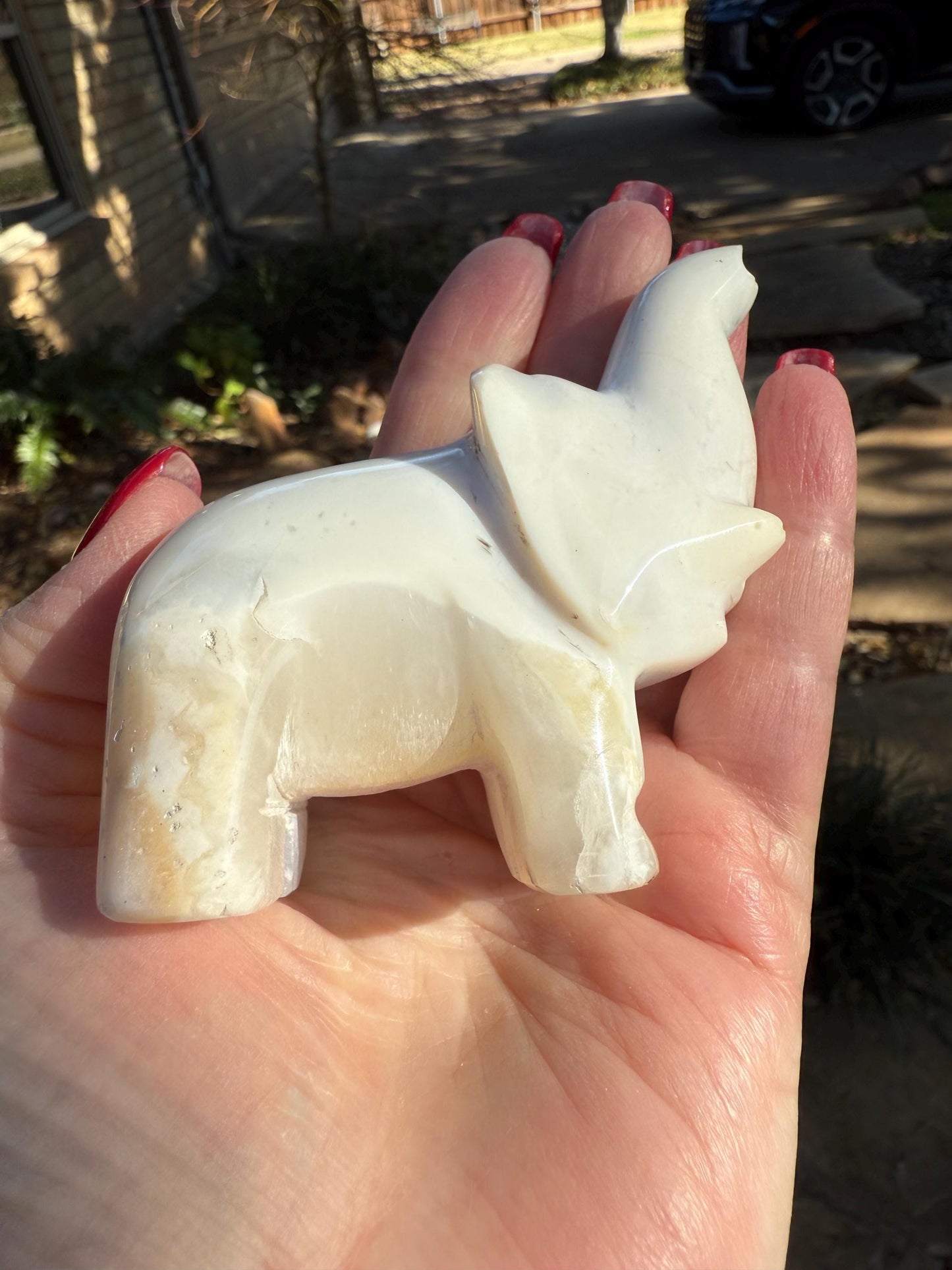 Merlinite Dendritic Agate Elephant, New, Crystal Healing, Tarot, High Vibration Crystals, 3.25”
