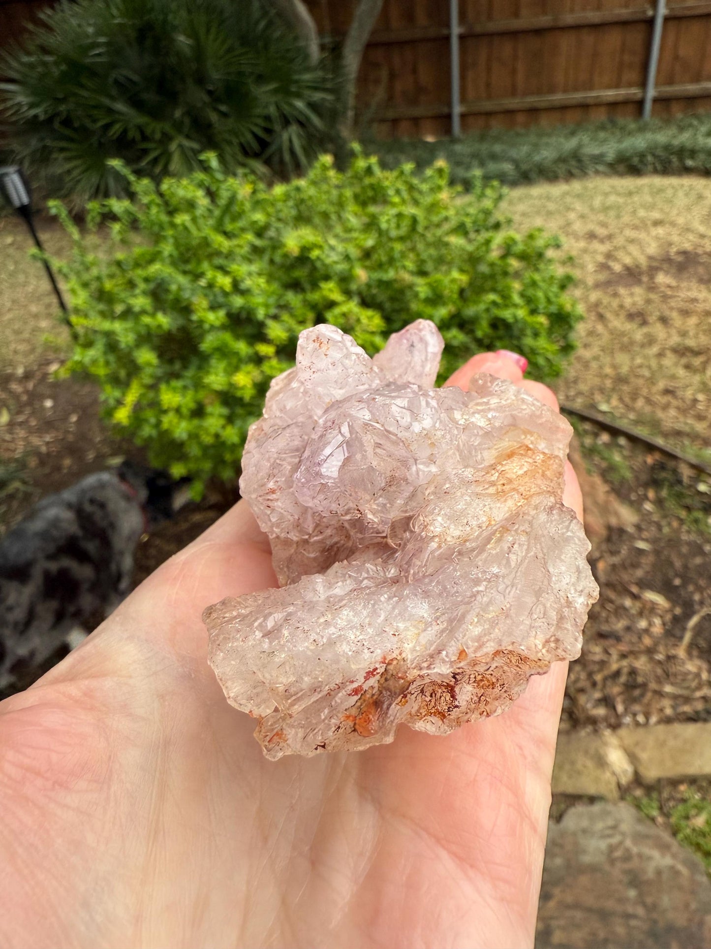 Amethyst Flower Crystal Cluster, 3.5”, crystal healing, high vibration crystals, gifts, palm stone