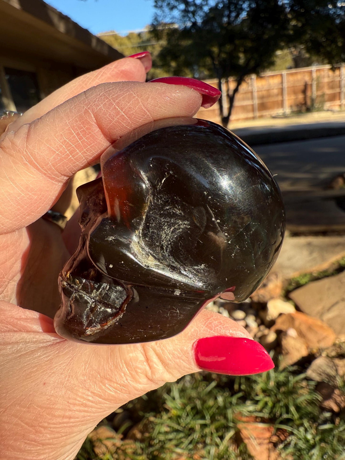 Amber Skull 2.25”, New, Crystal Healing, High Vibration Crystals, altar, gift, authentic amber