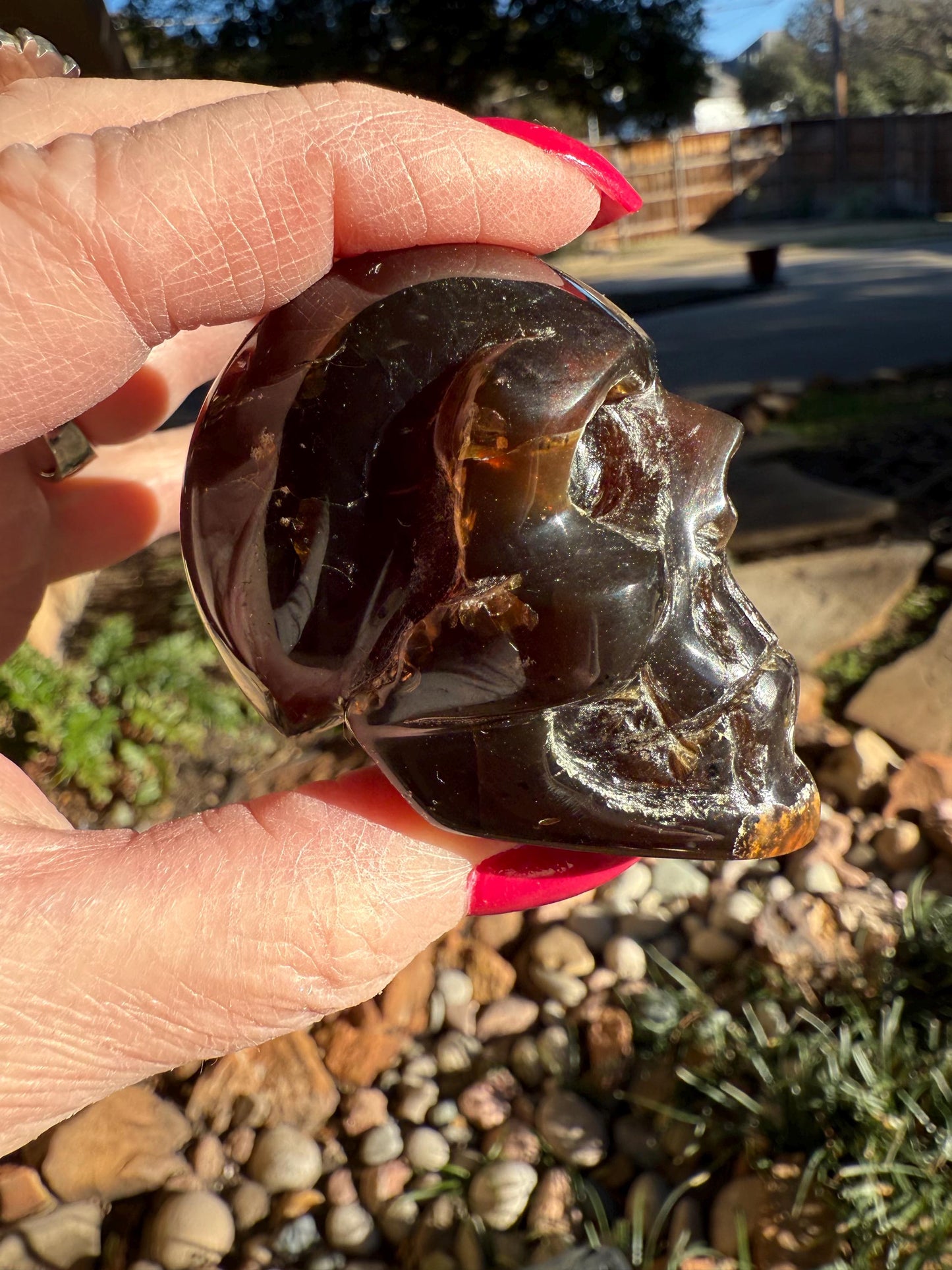 Amber Skull 2.25”, New, Crystal Healing, High Vibration Crystals, altar, gift, authentic amber