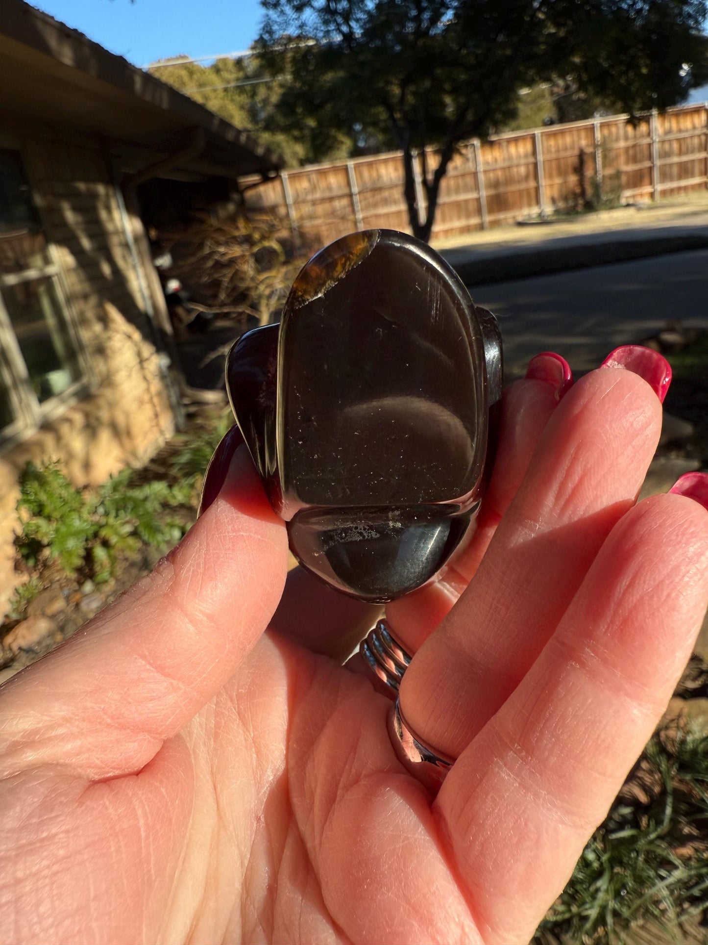 Amber Skull 2.25”, New, Crystal Healing, High Vibration Crystals, altar, gift, authentic amber