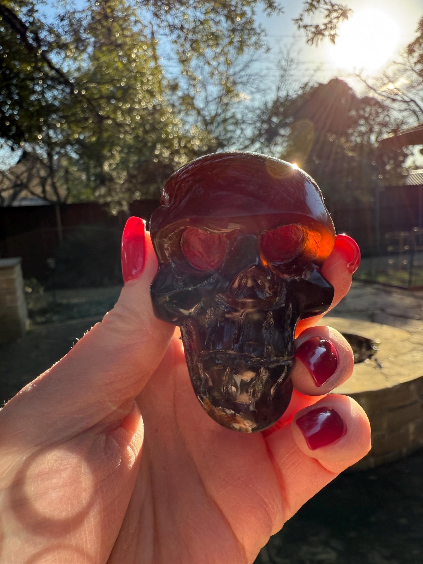 Amber Skull 2.25”, New, Crystal Healing, High Vibration Crystals, altar, gift, authentic amber