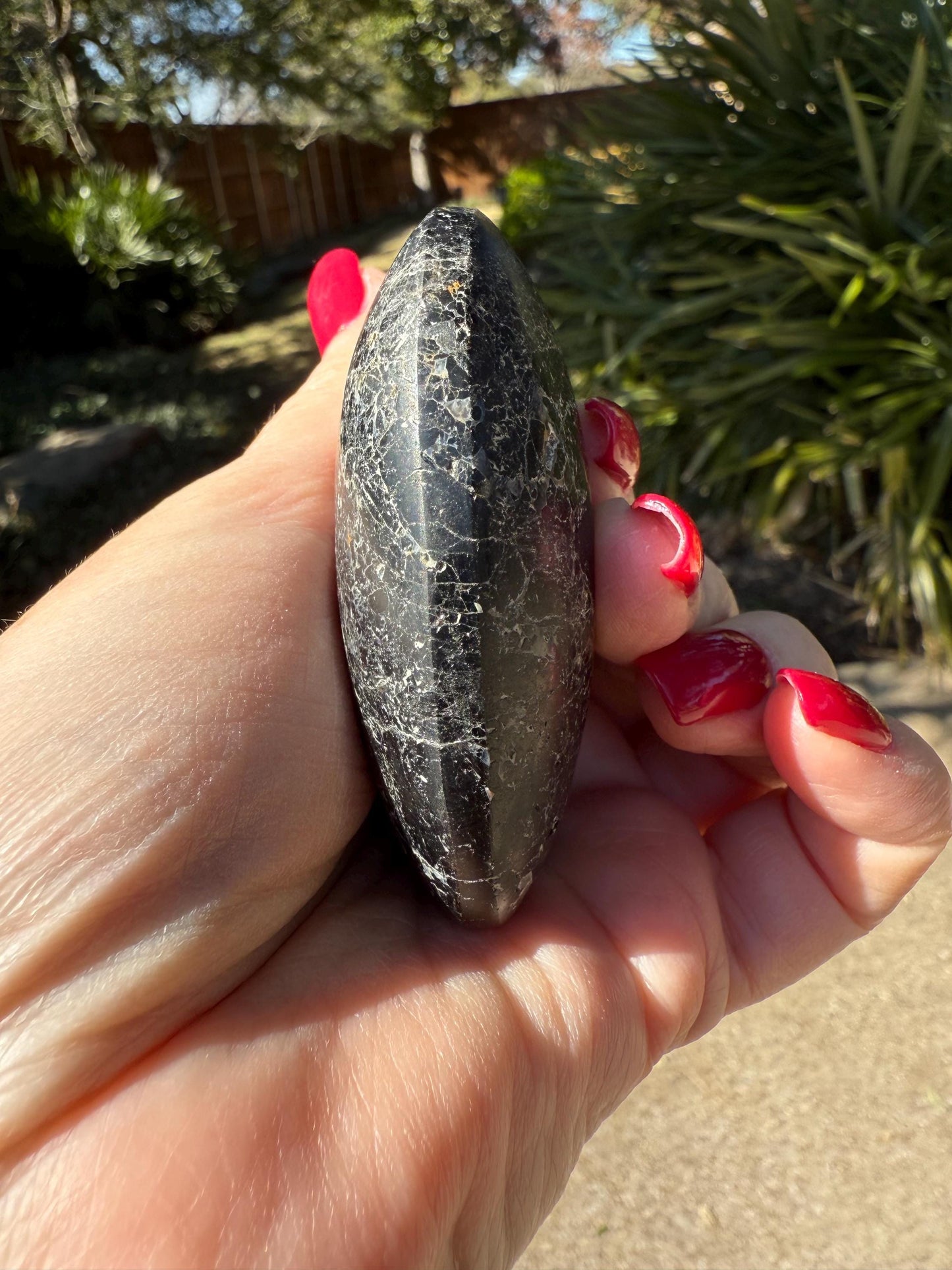 Black Tourmaline palm stone, 3x2”, gifts, high vibration crystals, healing crystal