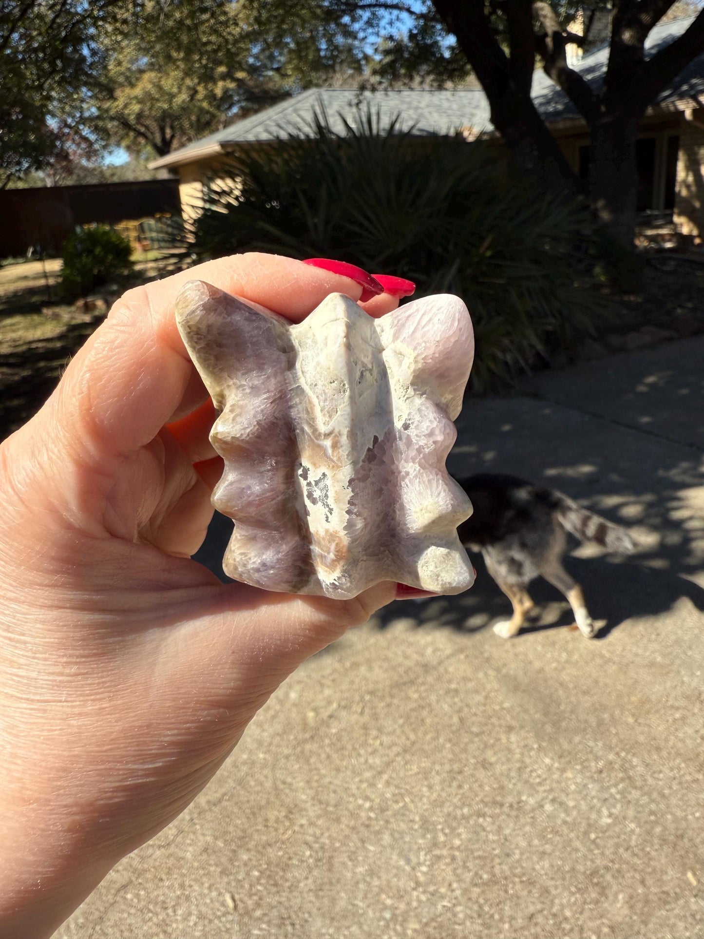 Amethyst Dragon, New palm stone dragon, 4”, crystal healing, gifts, altar, high vibration crystals