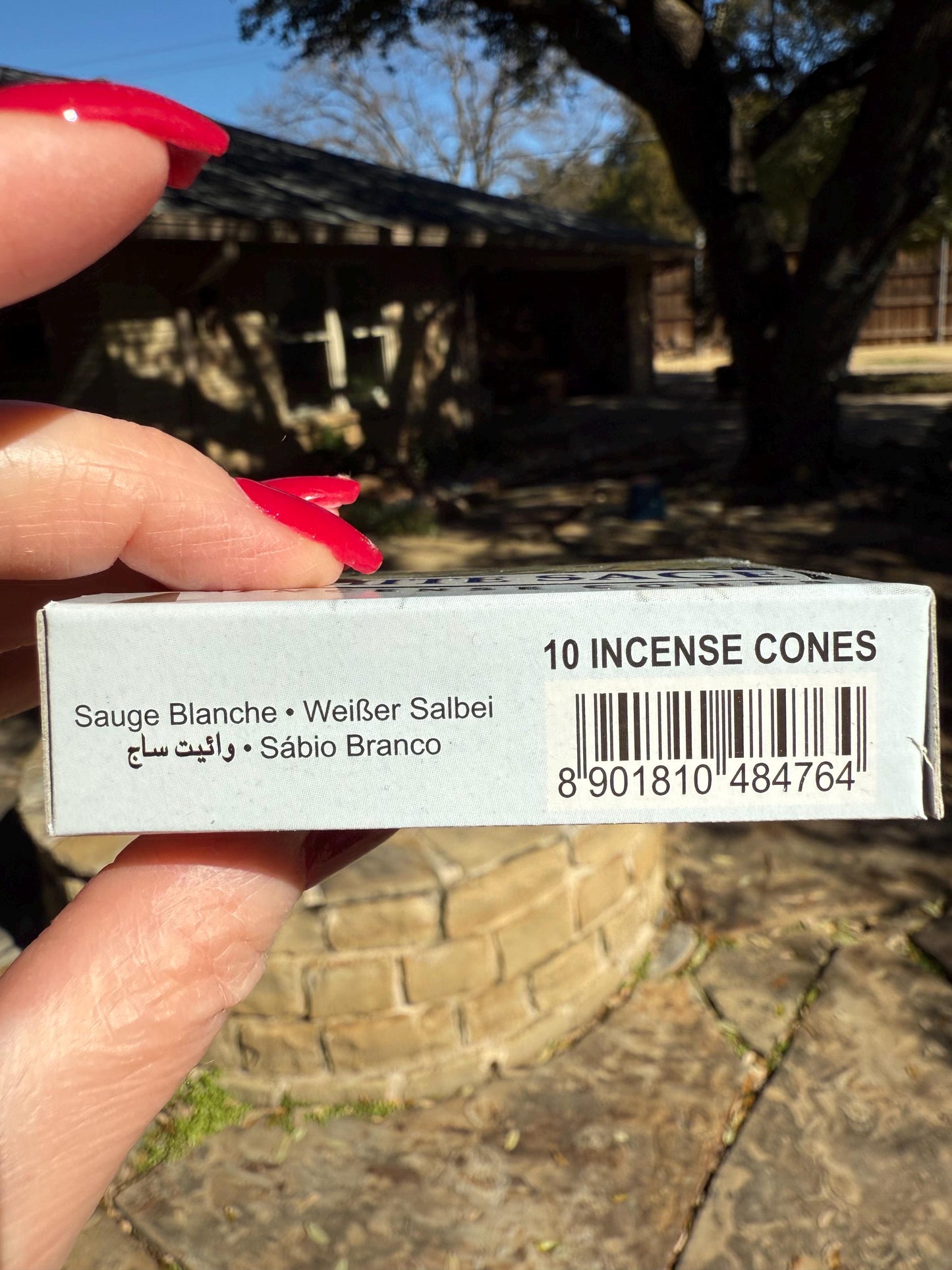 White Sage Incense cones, temple incense, crystal healing, scent, gift, 10 cones