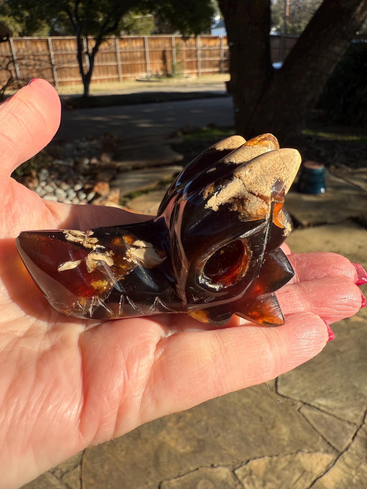 Amber Dragon 3”, Rare, Crystal Healing, High Vibration Crystals, altar, gift, authentic amber